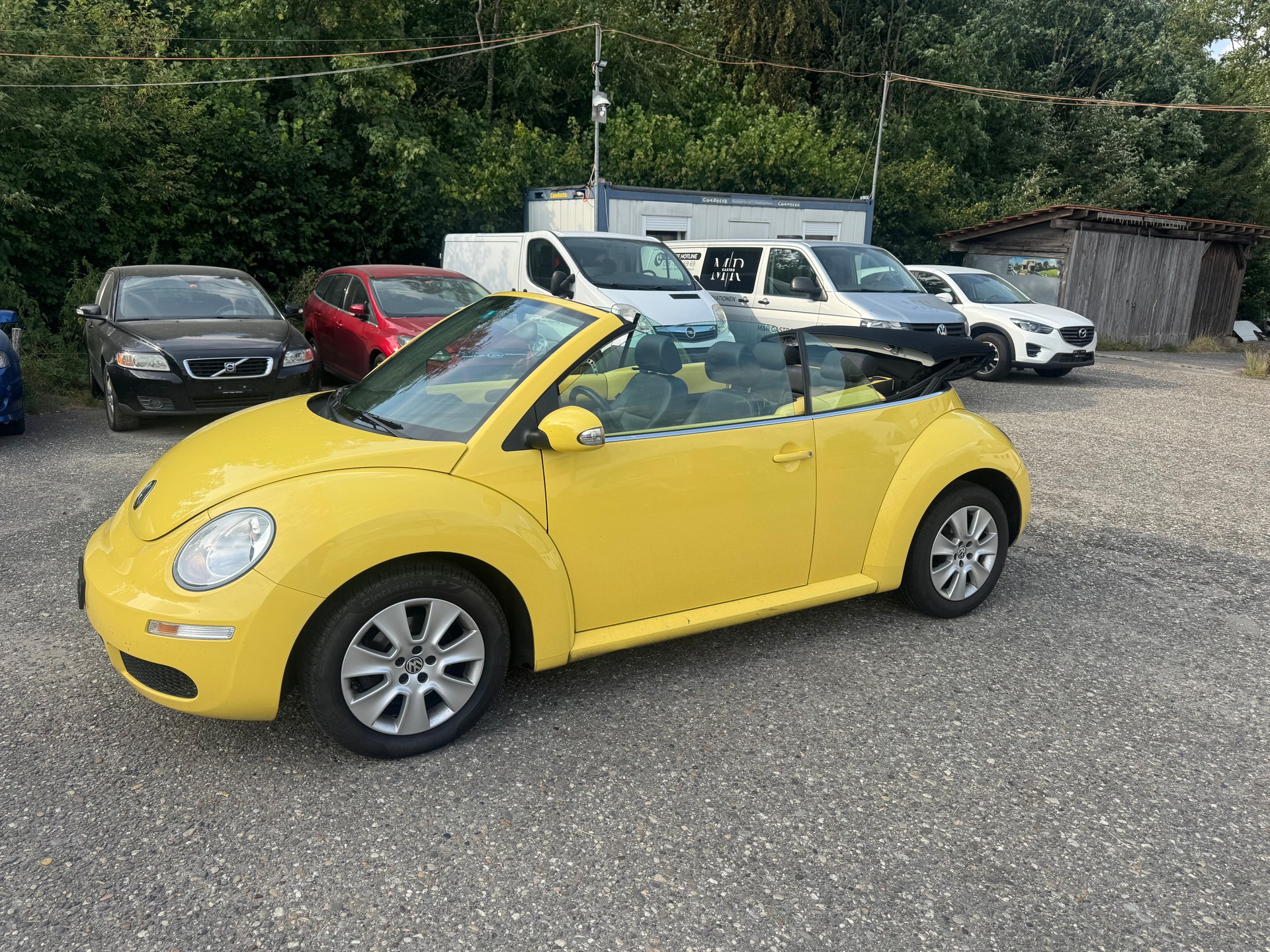VW BEETLE-image-12