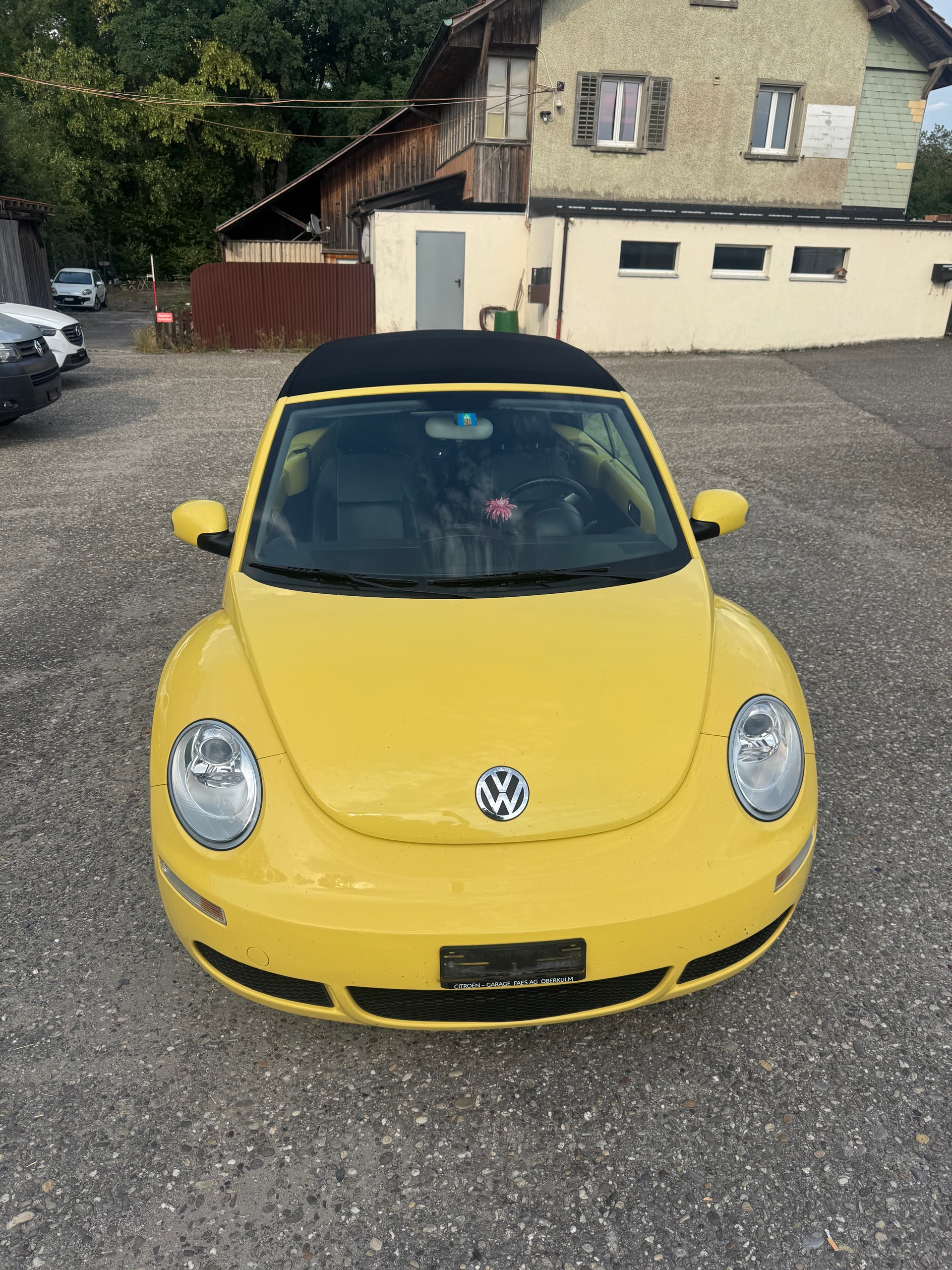 VW BEETLE-image-1