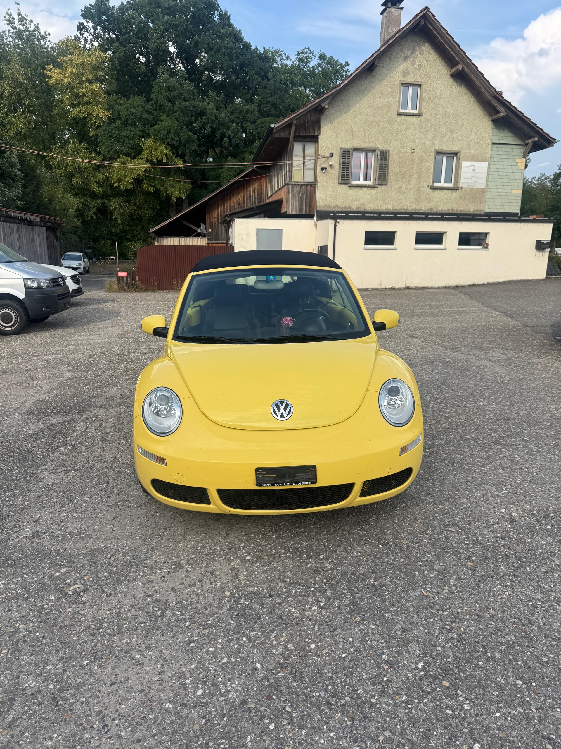 VW BEETLE-image-0