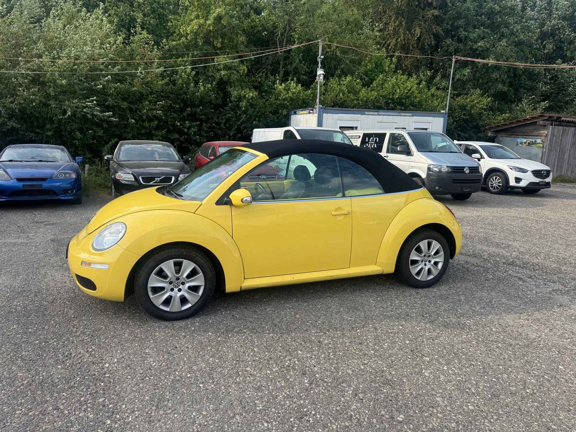 VW BEETLE-image-3
