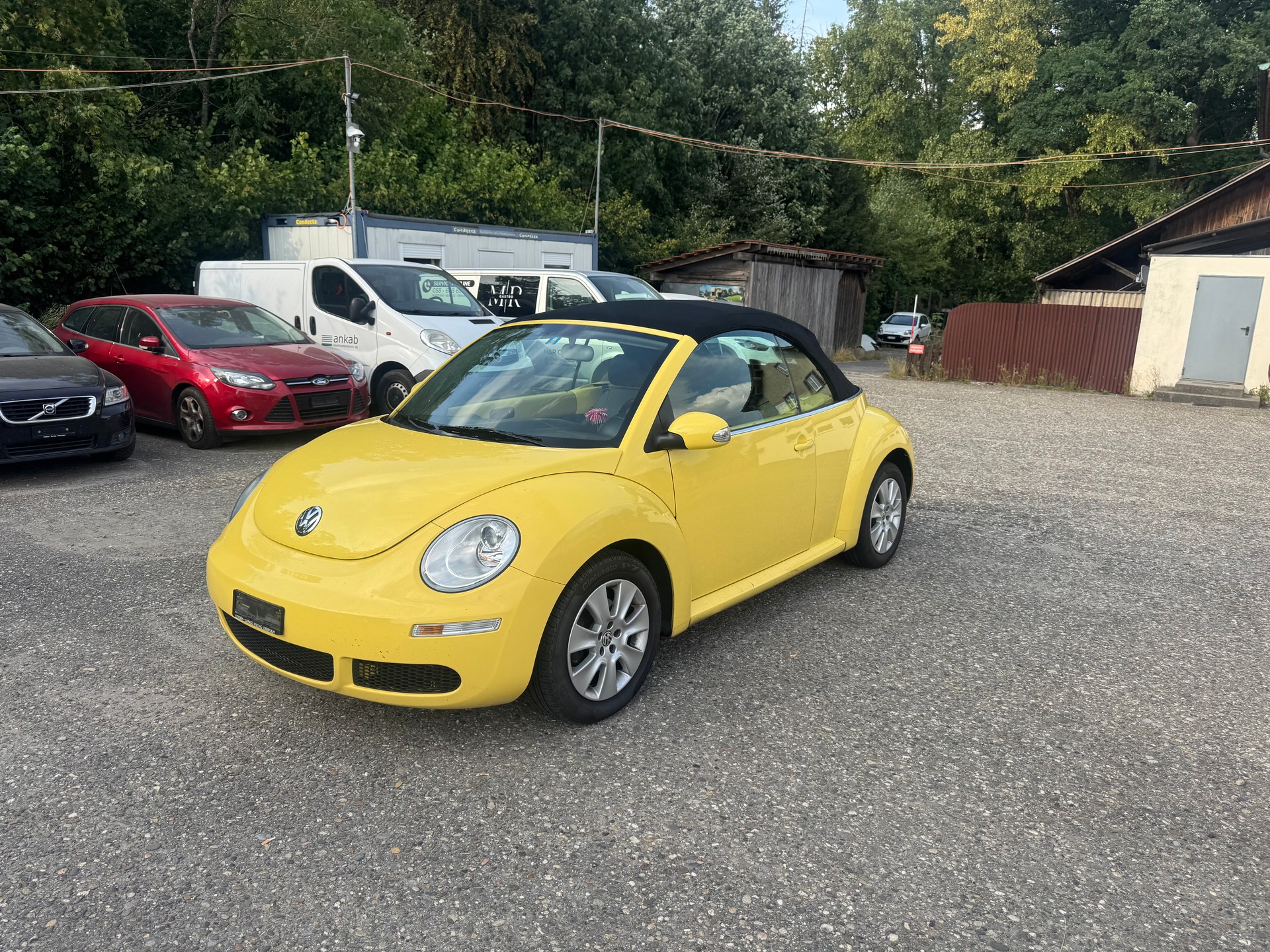 VW BEETLE-image-2