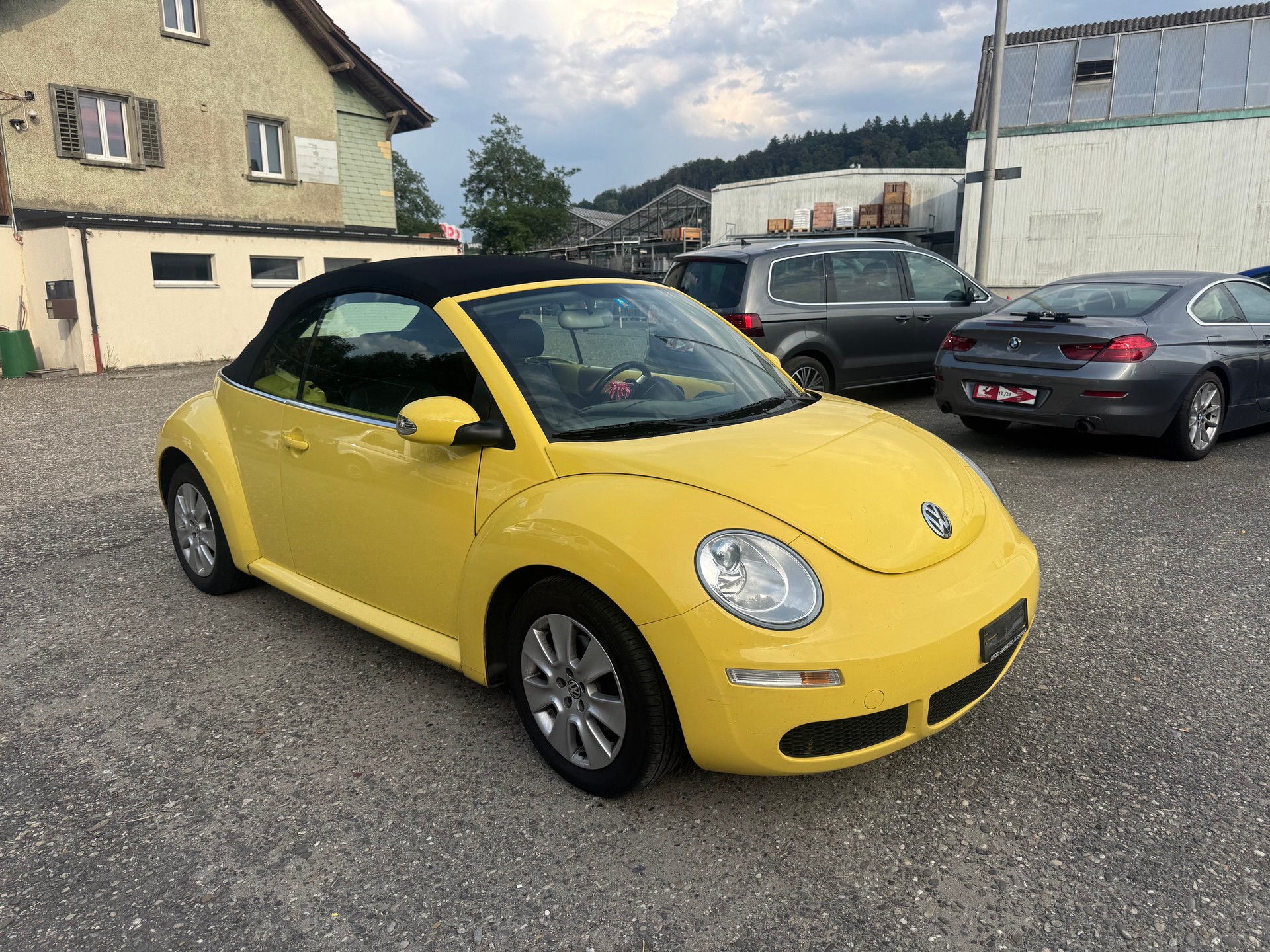 VW BEETLE-image-4