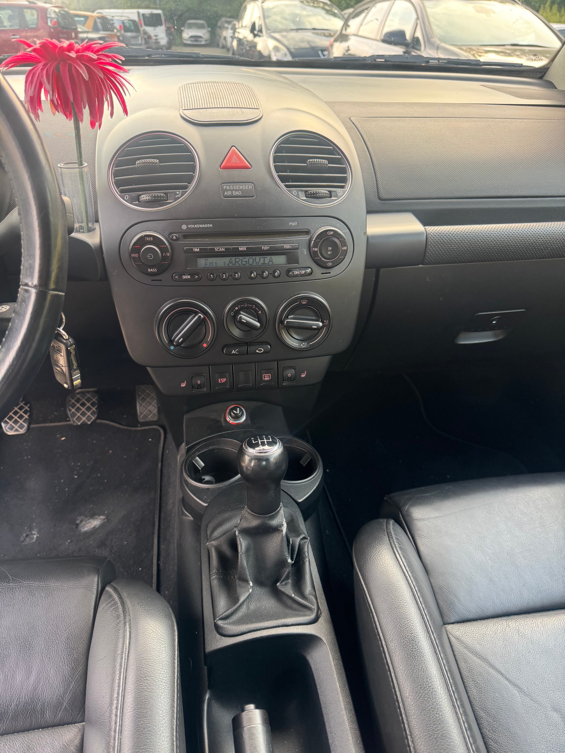 VW BEETLE-image-10