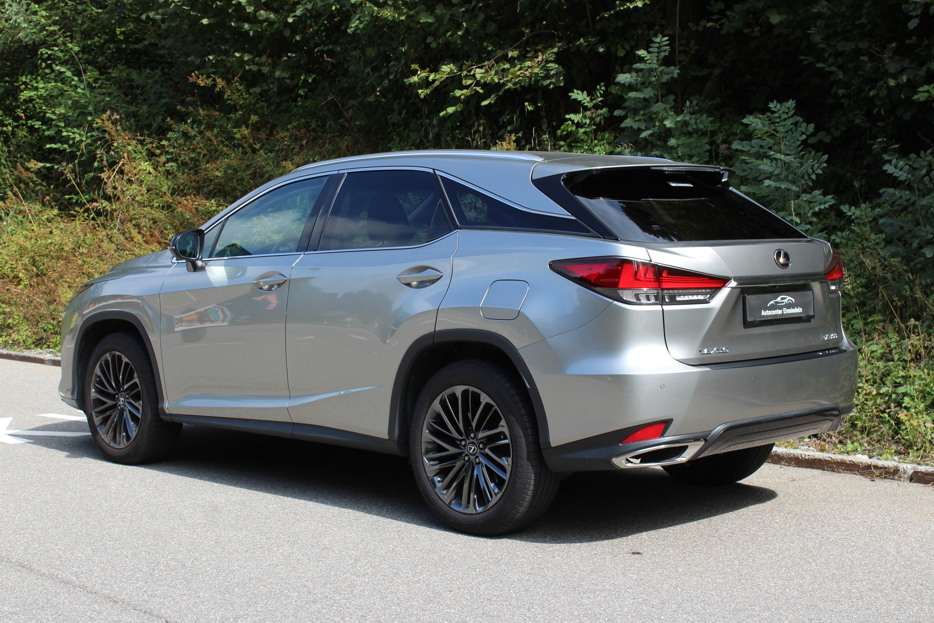 LEXUS RX 300 Special Edition AWD-image-7
