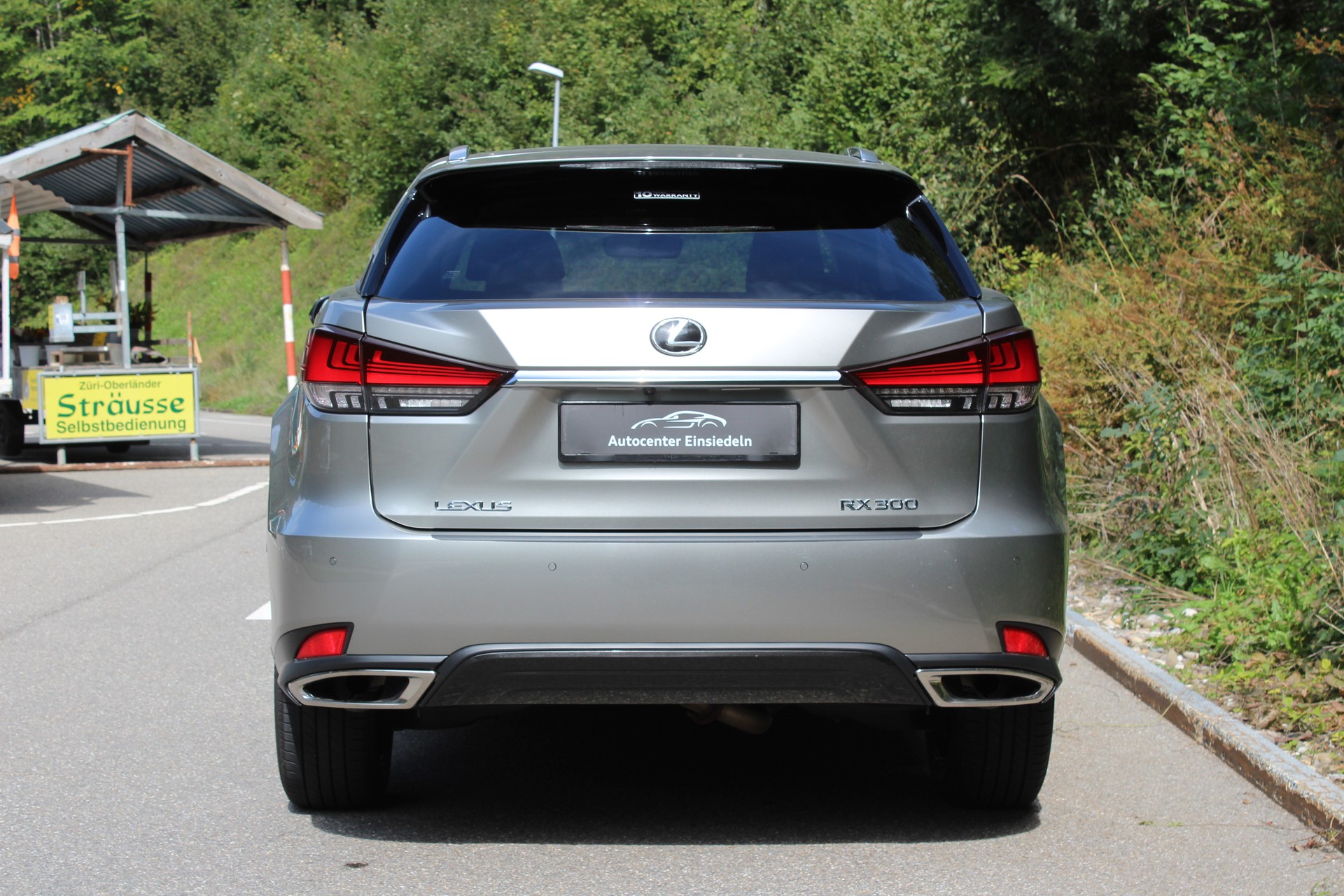LEXUS RX 300 Special Edition AWD-image-3