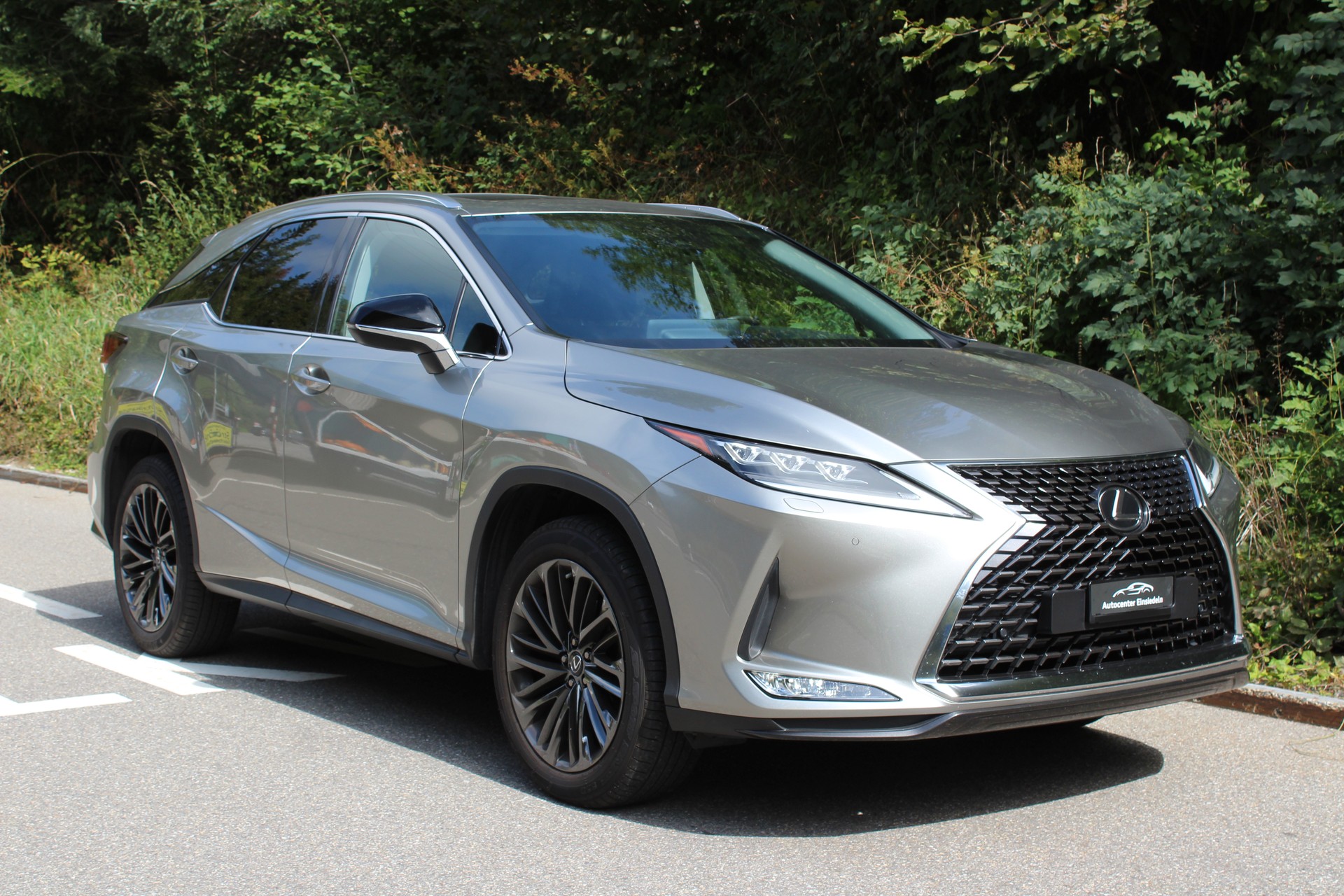 LEXUS RX 300 Special Edition AWD-image-1
