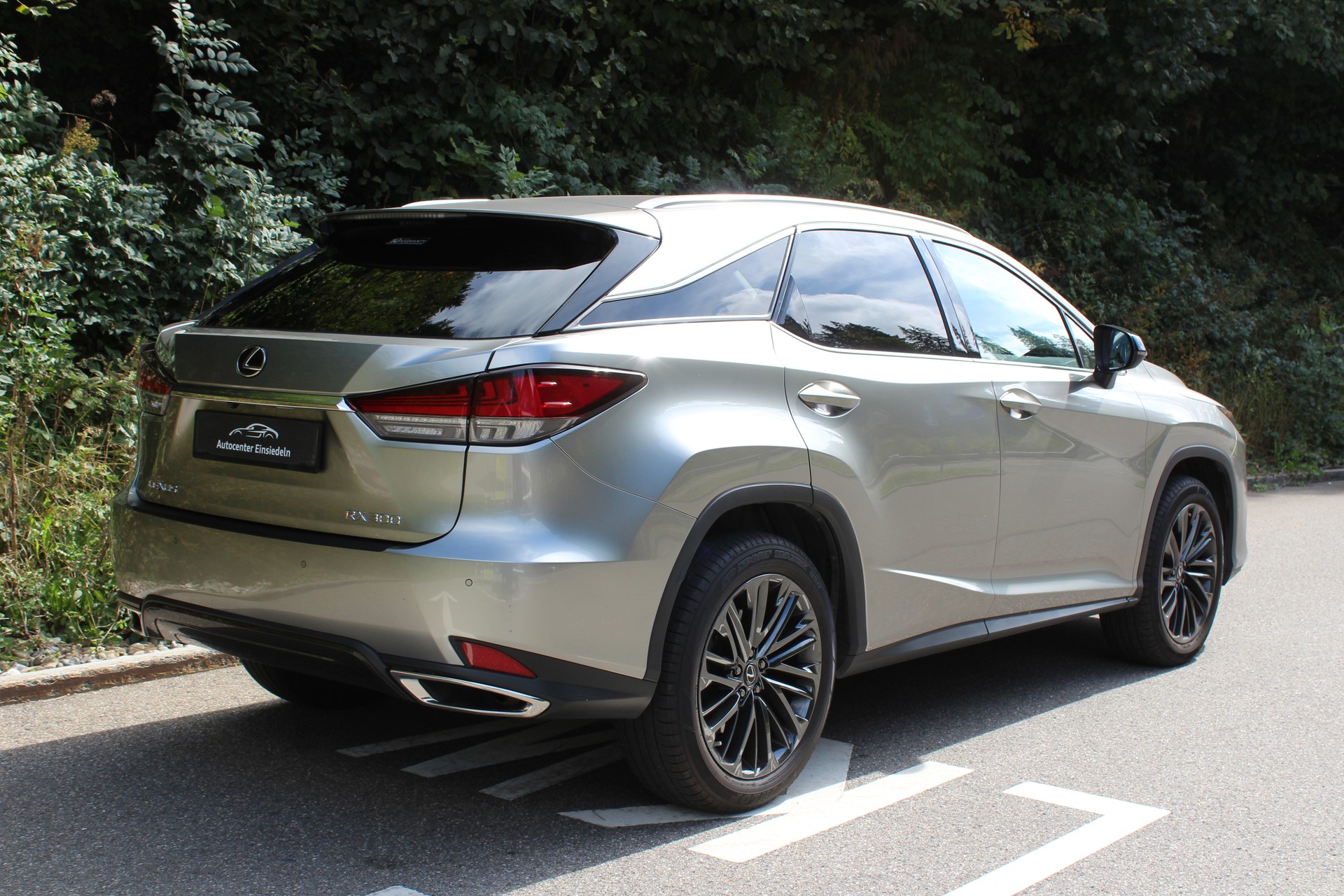LEXUS RX 300 Special Edition AWD-image-6