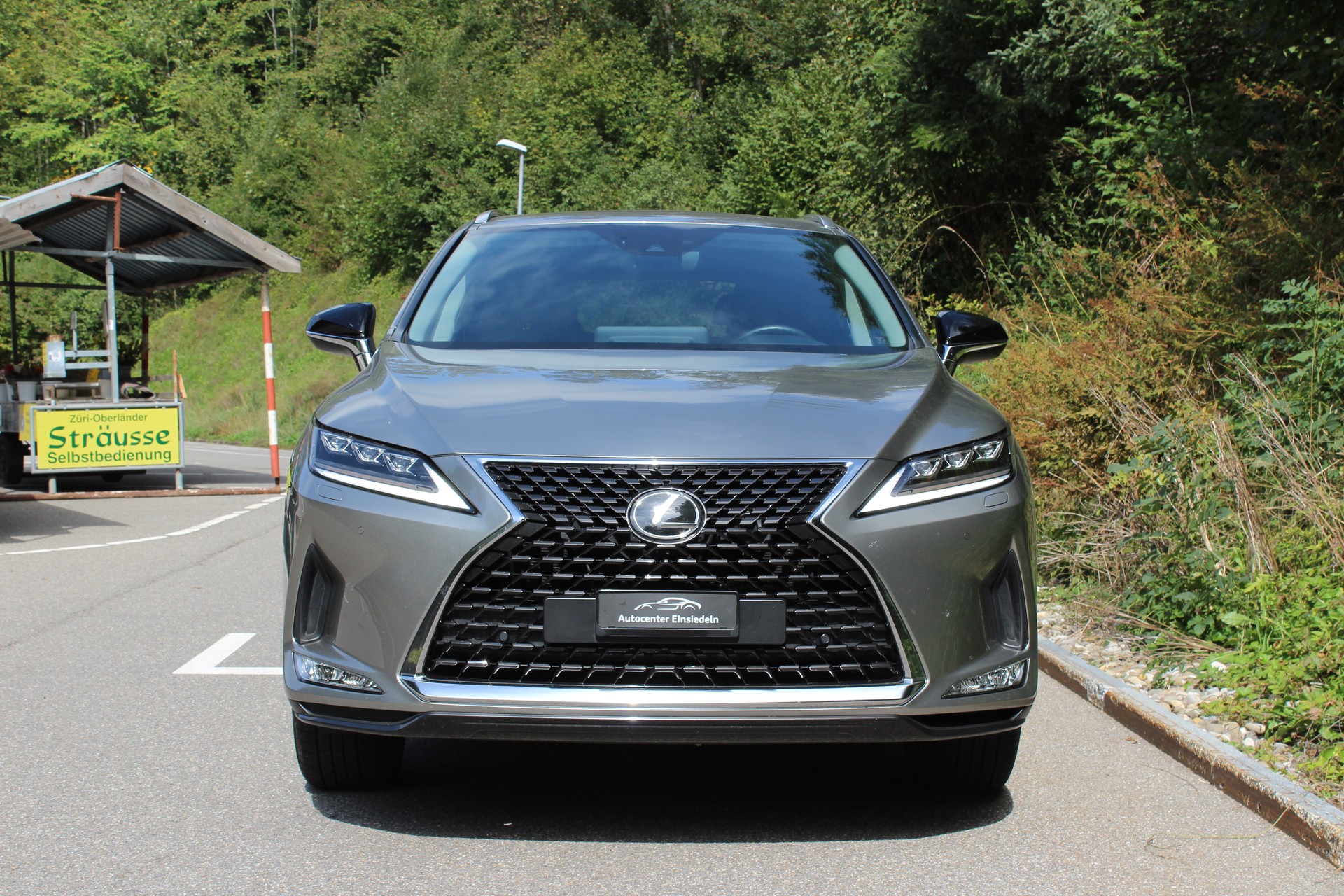 LEXUS RX 300 Special Edition AWD-image-5