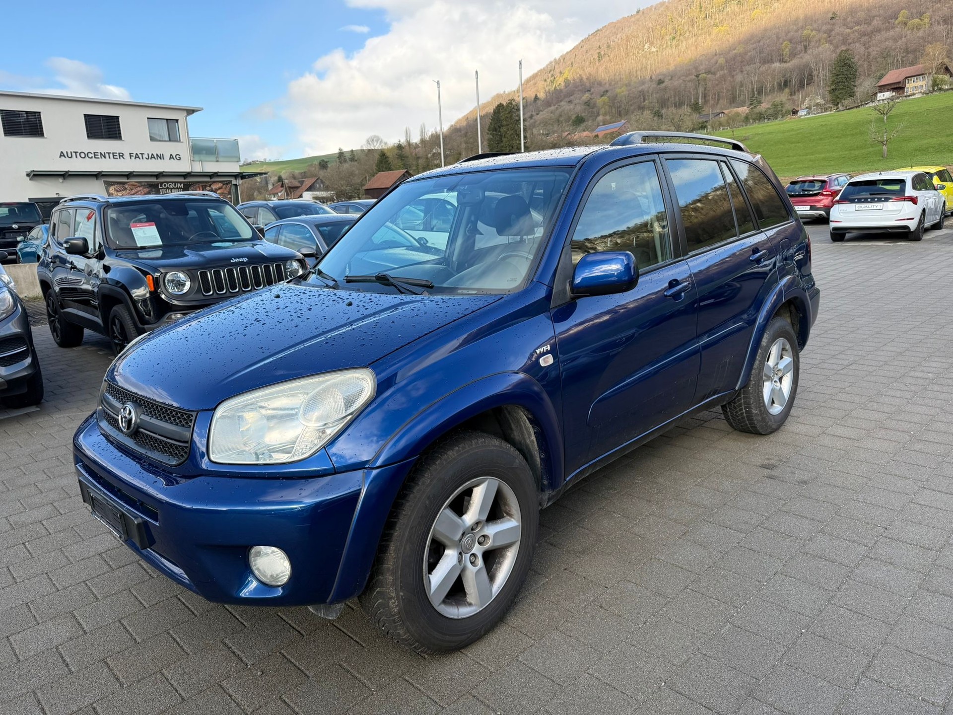 TOYOTA RAV-4 2.0 16V Linea Terra-image-6