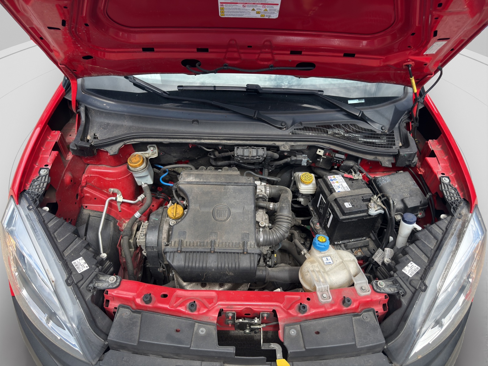 FIAT Doblò 1.4 MPI Cargo Swiss-image-13