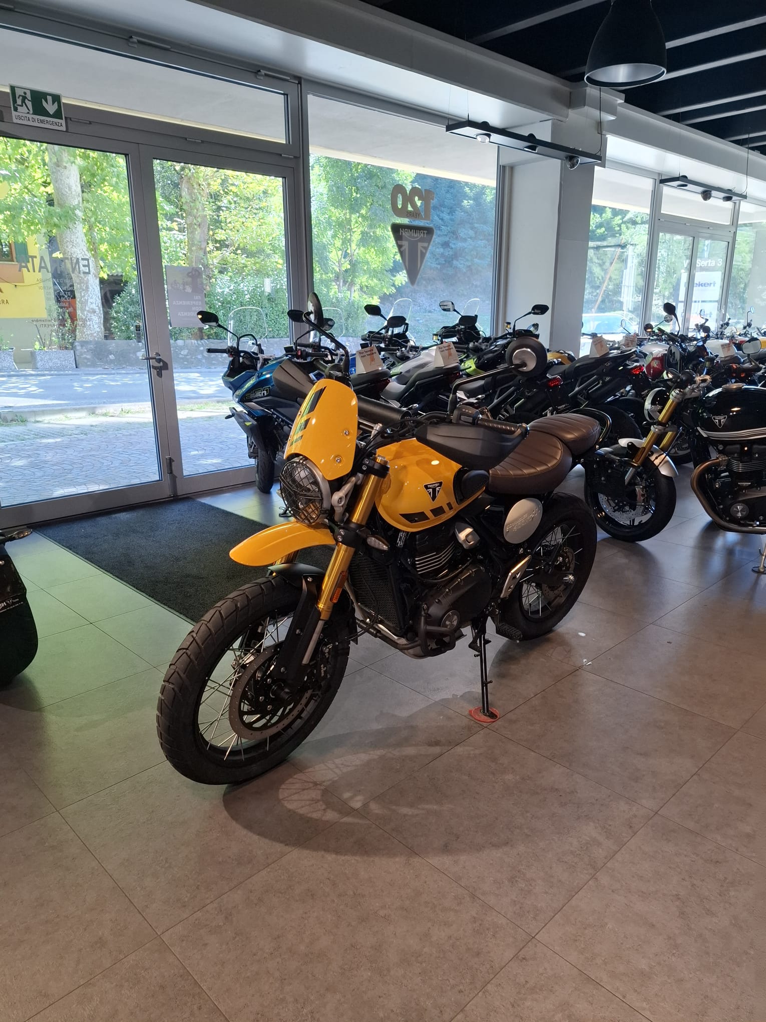 TRIUMPH Scrambler 400 XC-image-3