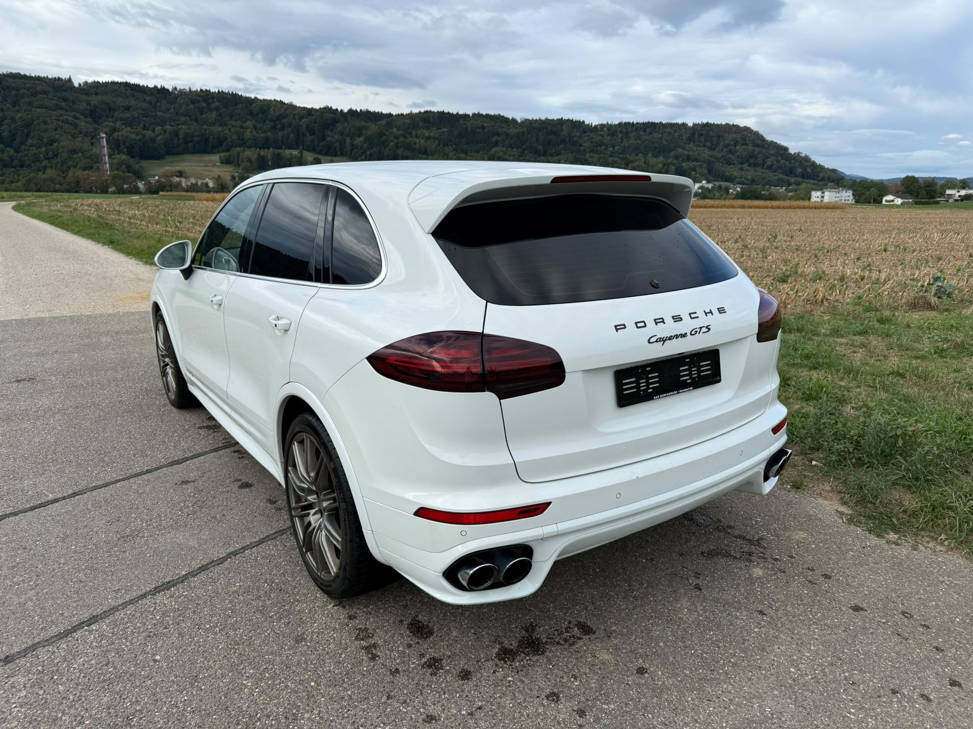 PORSCHE Cayenne GTS-image-2