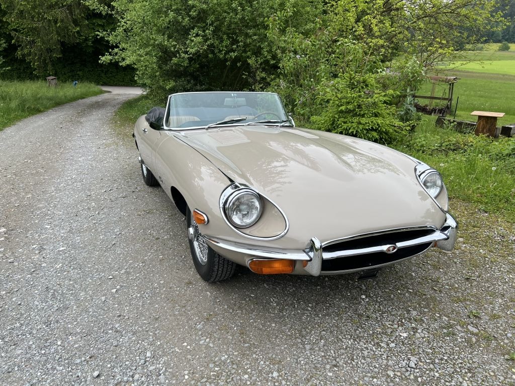 JAGUAR Roadster-image-8