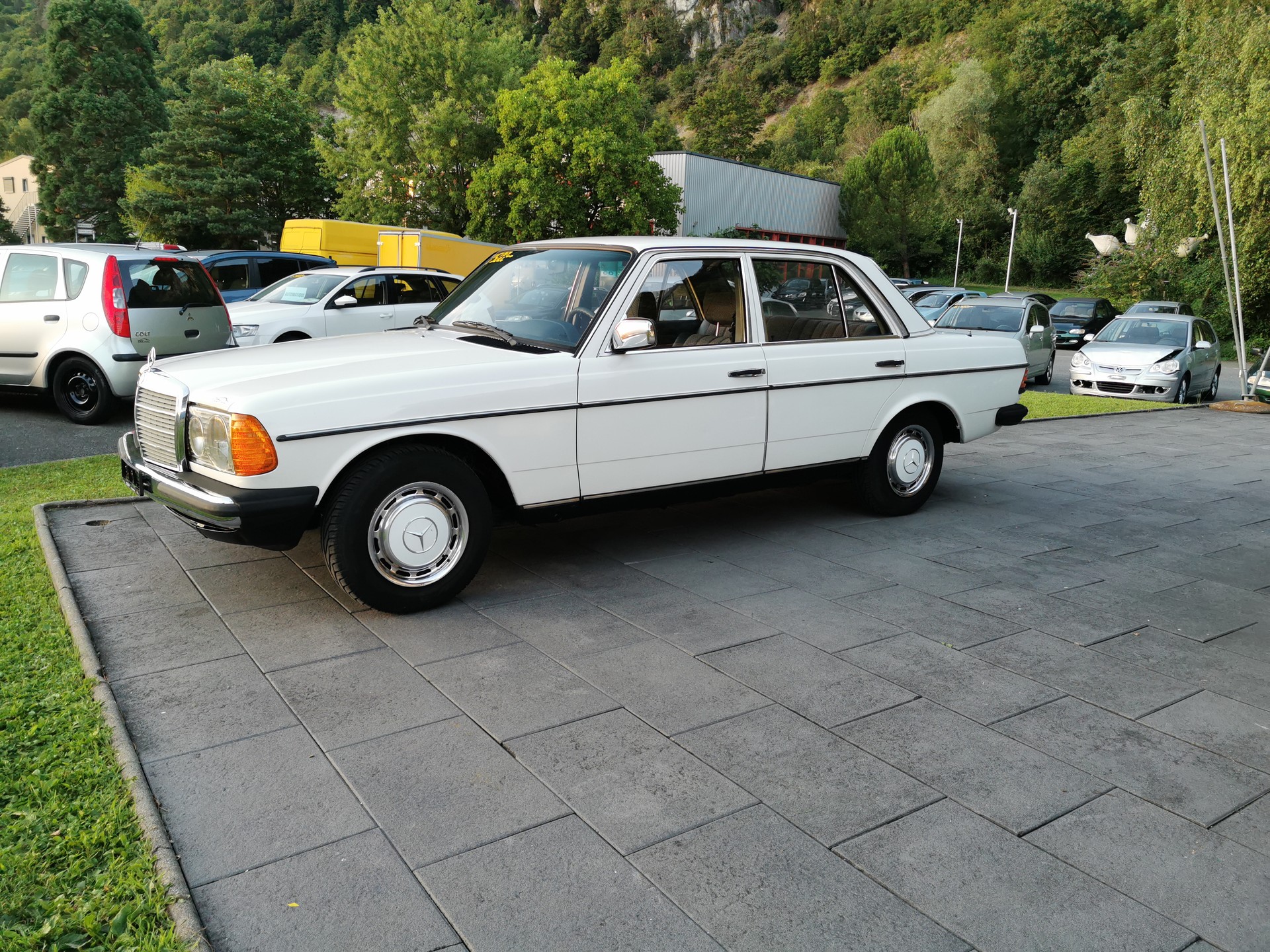 MERCEDES-BENZ W123-image-14
