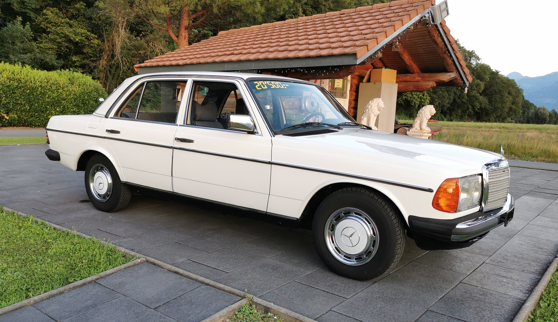 MERCEDES-BENZ W123