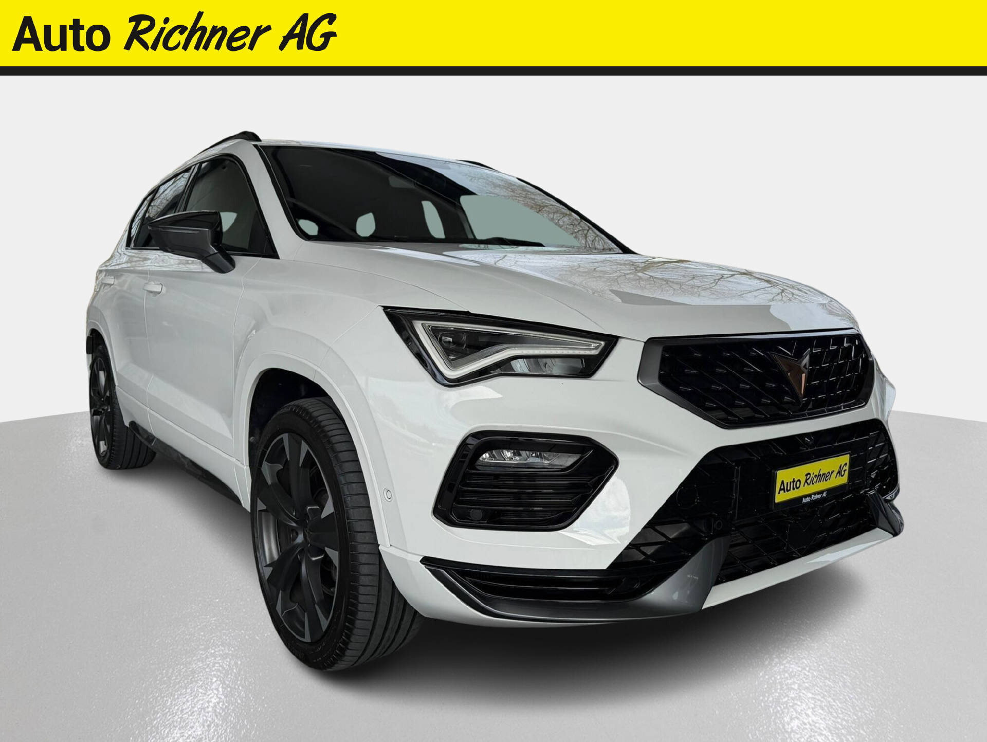 CUPRA Ateca 2.0 TSI VZ 4Drive DSG-image-0