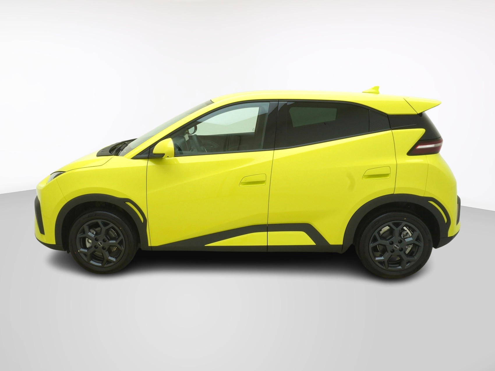 BYD Dolphin Surf Comfort-showroom-element-1