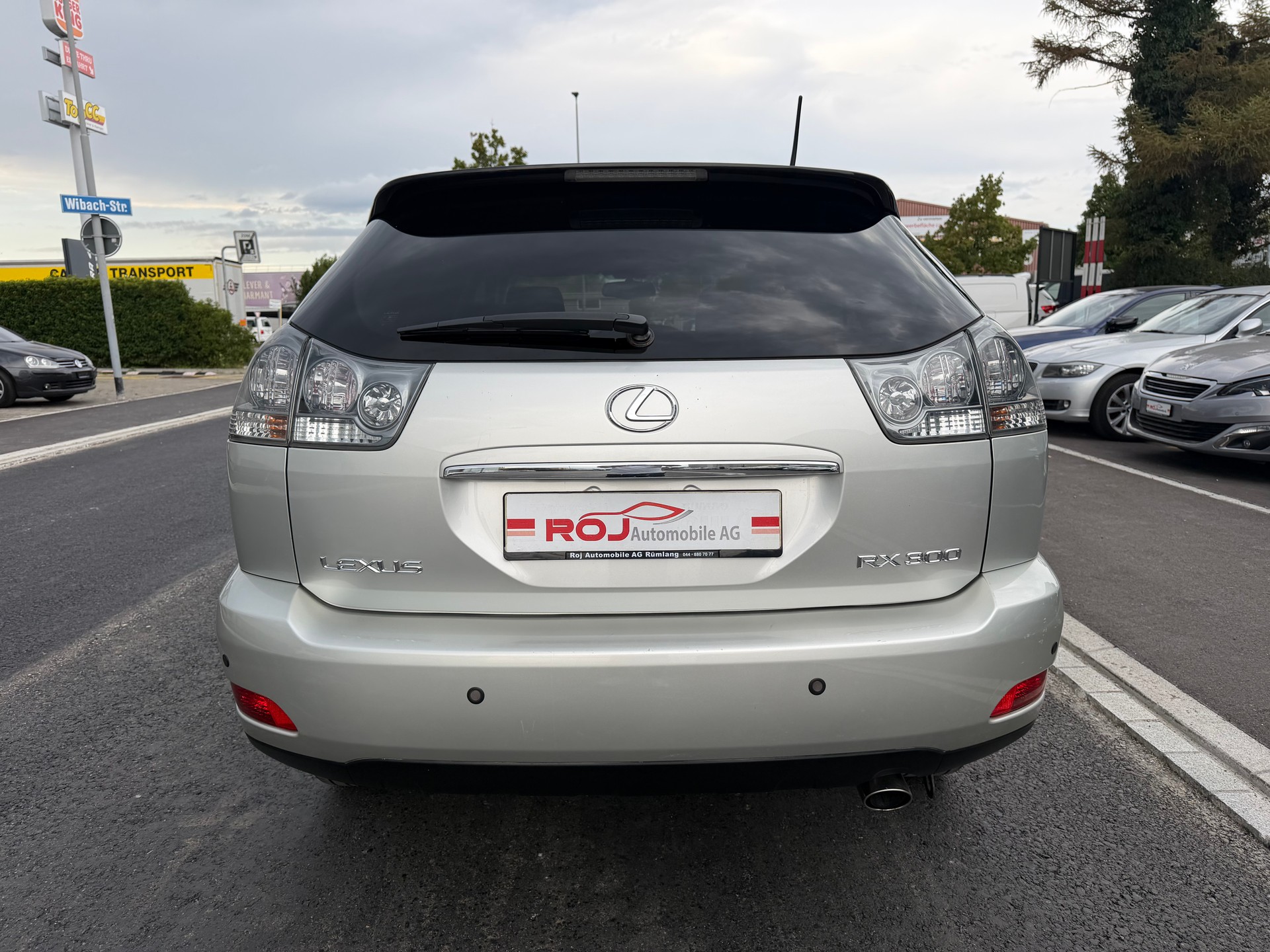 LEXUS RX 300 Sport AWD Automatic-image-5