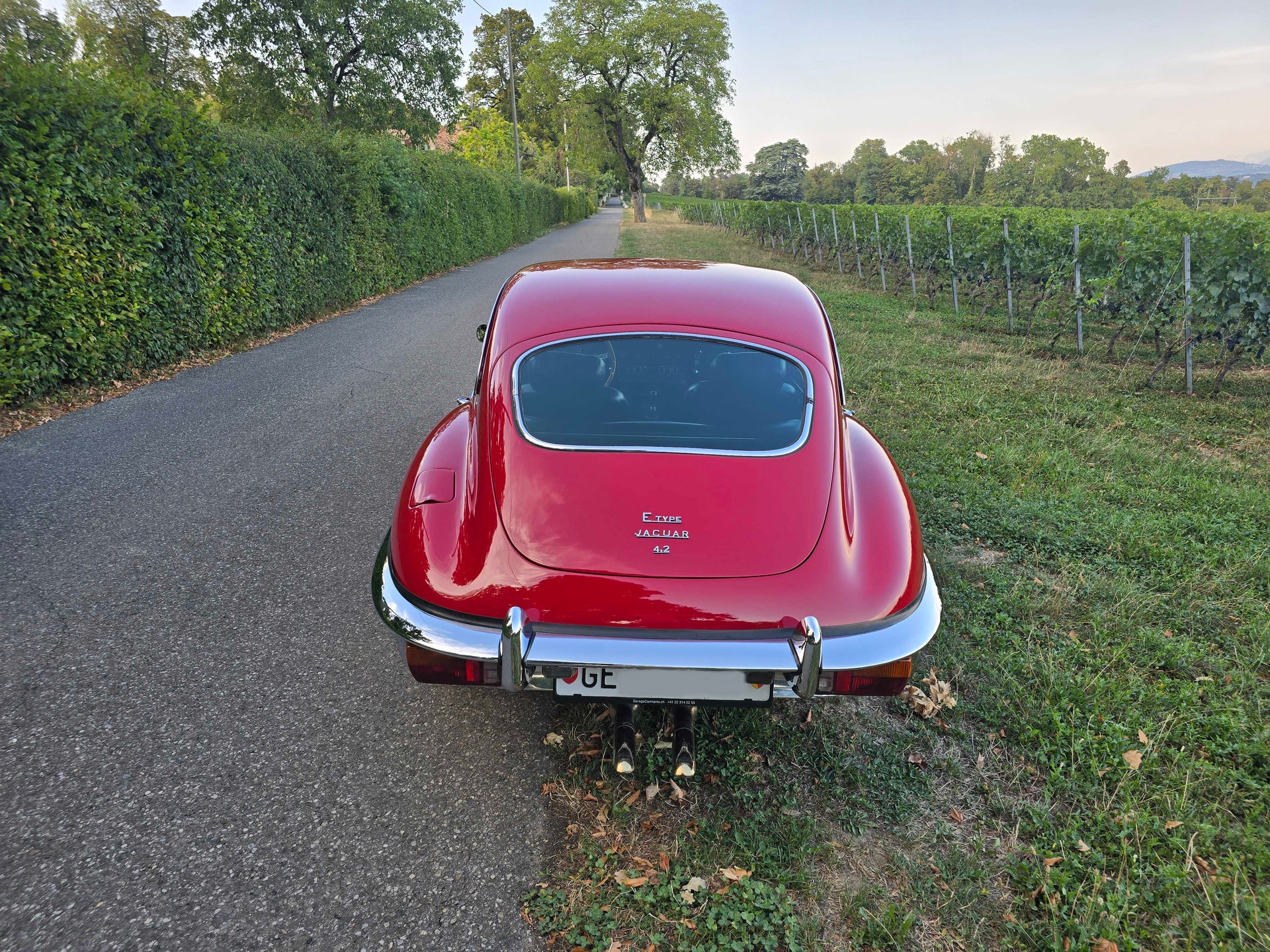 JAGUAR E-Type S2 Coupé-image-3