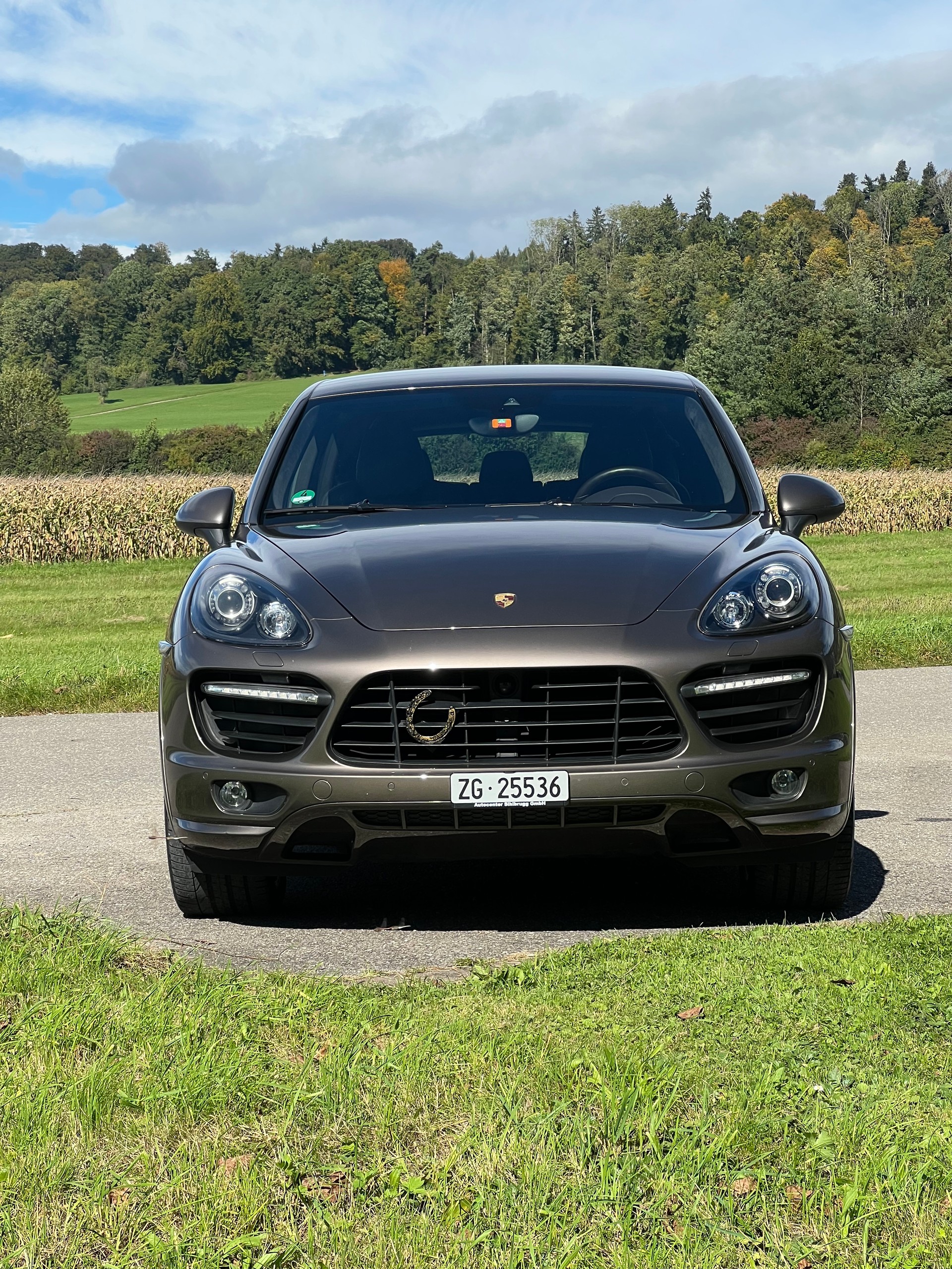 PORSCHE Cayenne GTS-image-0