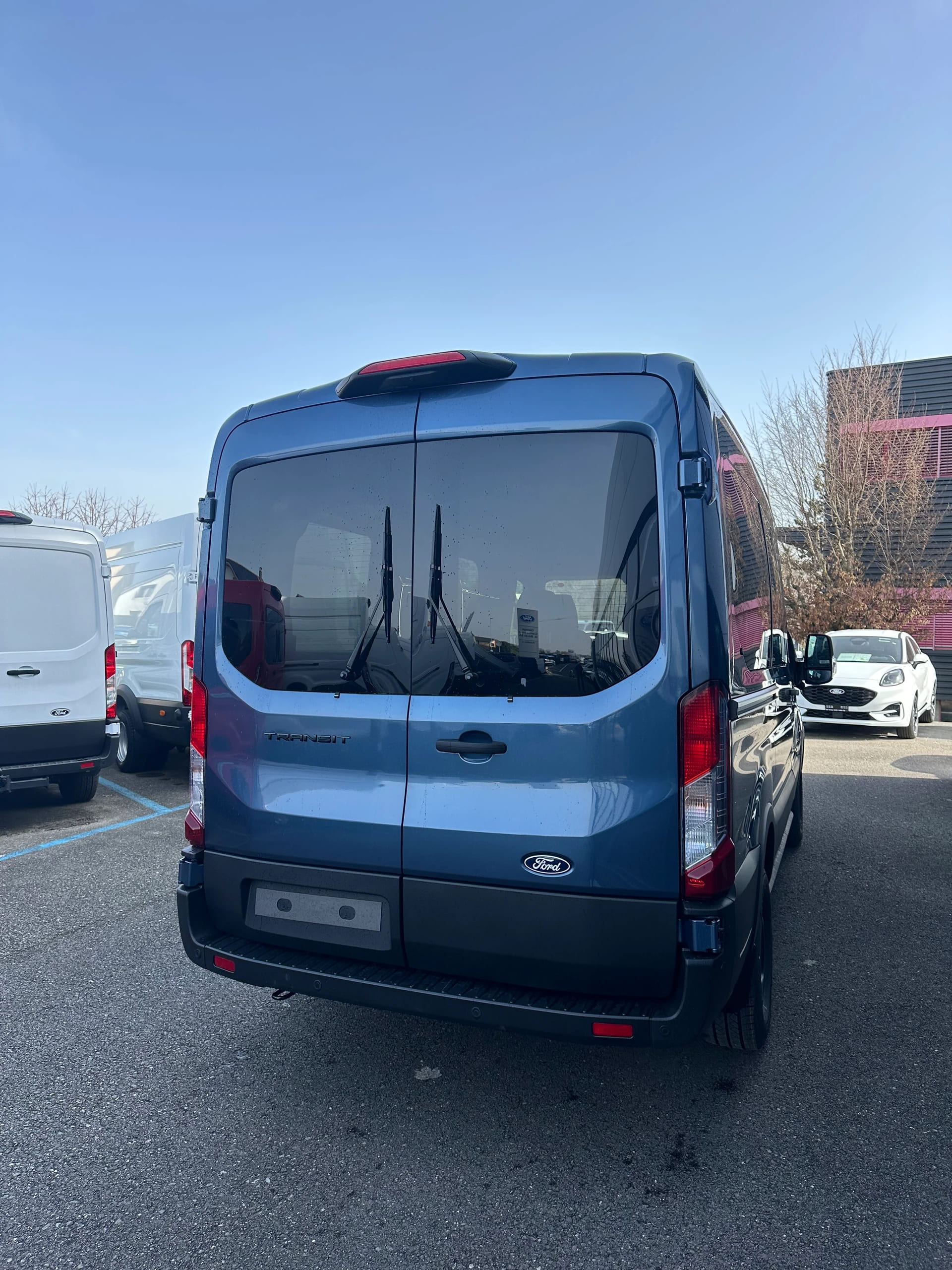FORD Transit combi 350 L2 2.0 EcoBl Trend/150CV/Aut.-image-6