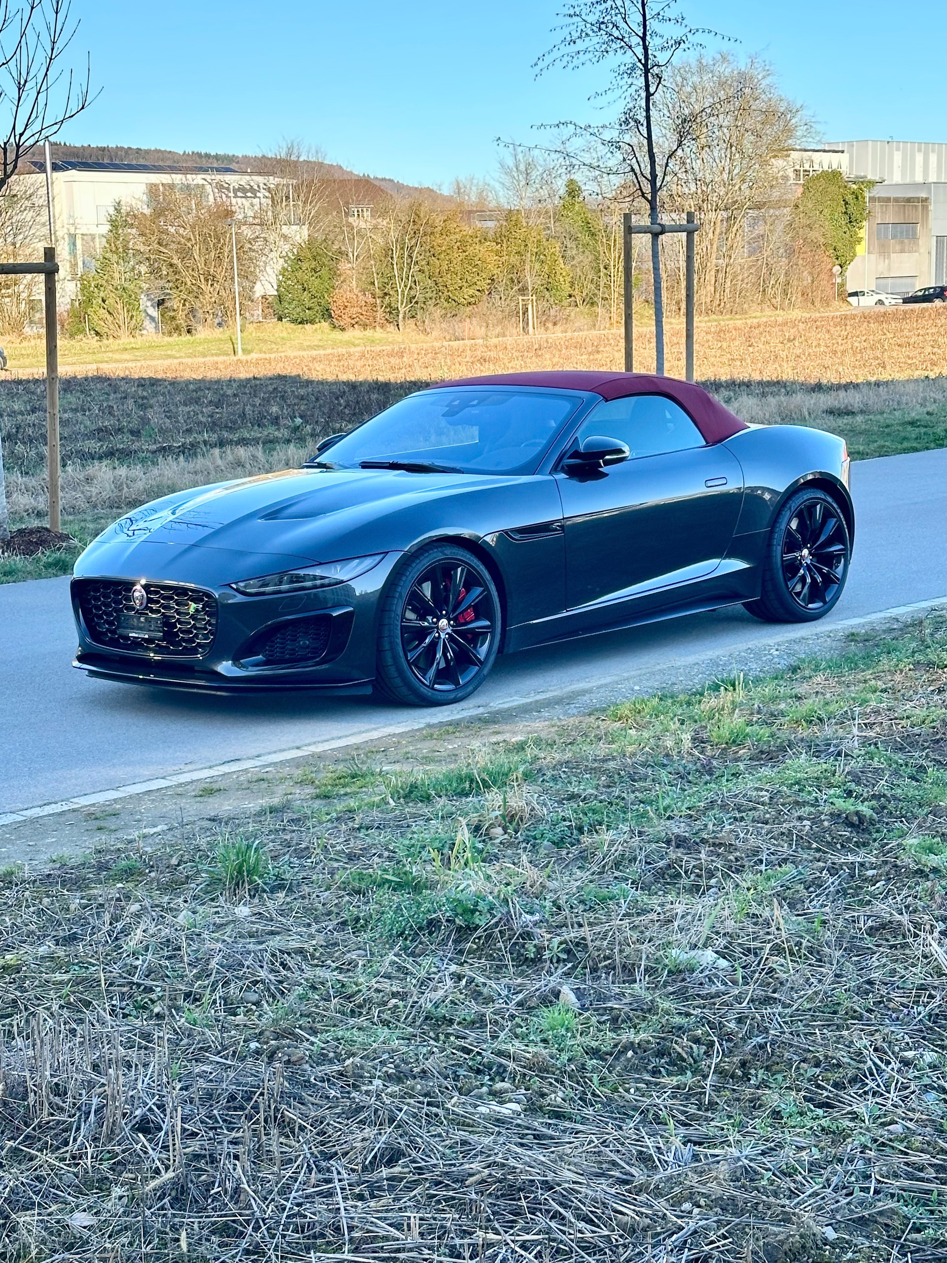 JAGUAR F-Type Convertible 5.0 V8 R75 AWD Automatik-image-2