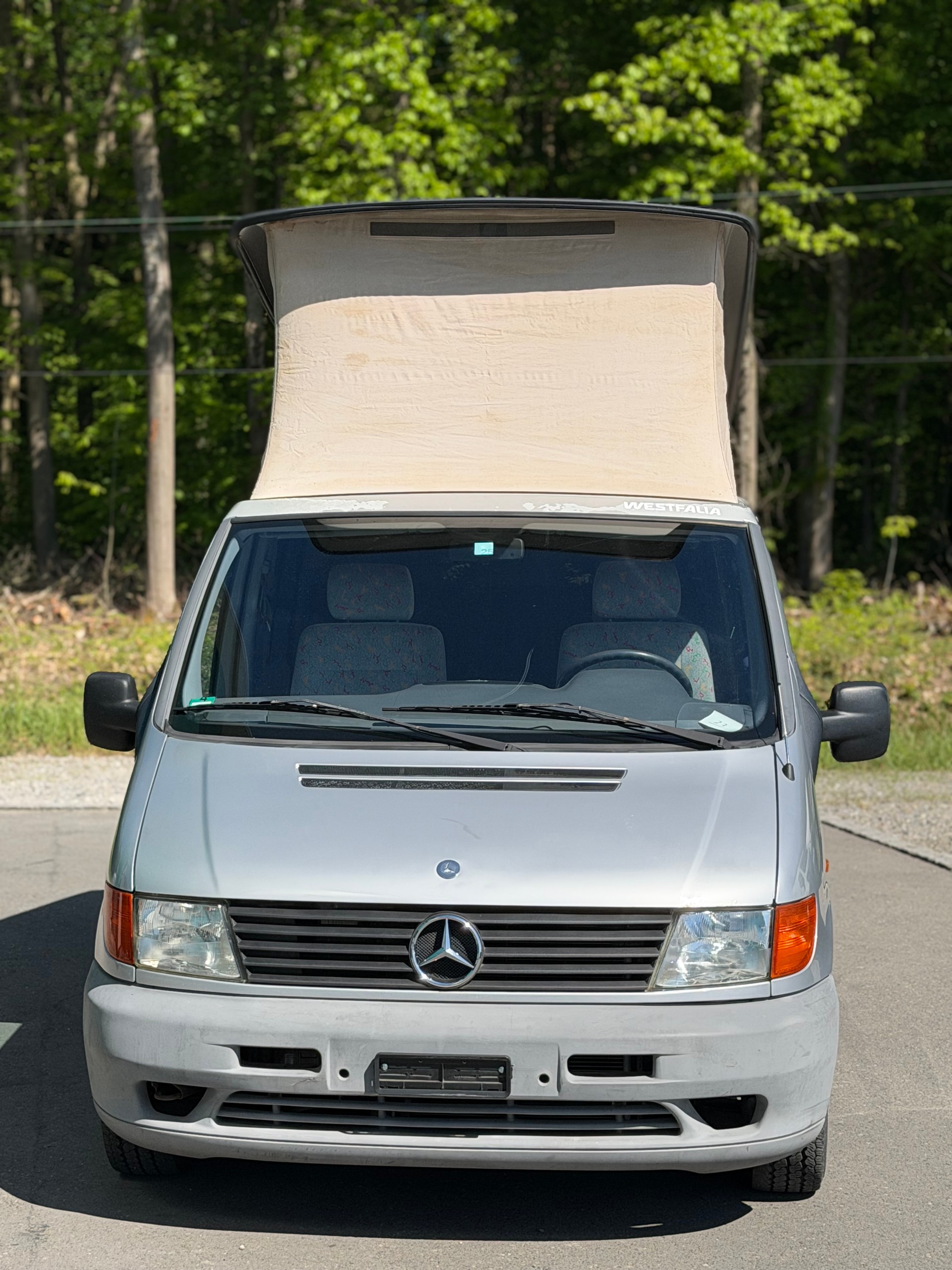 MERCEDES-BENZ F 114 2.3i-16 WESTFALIA-image-5