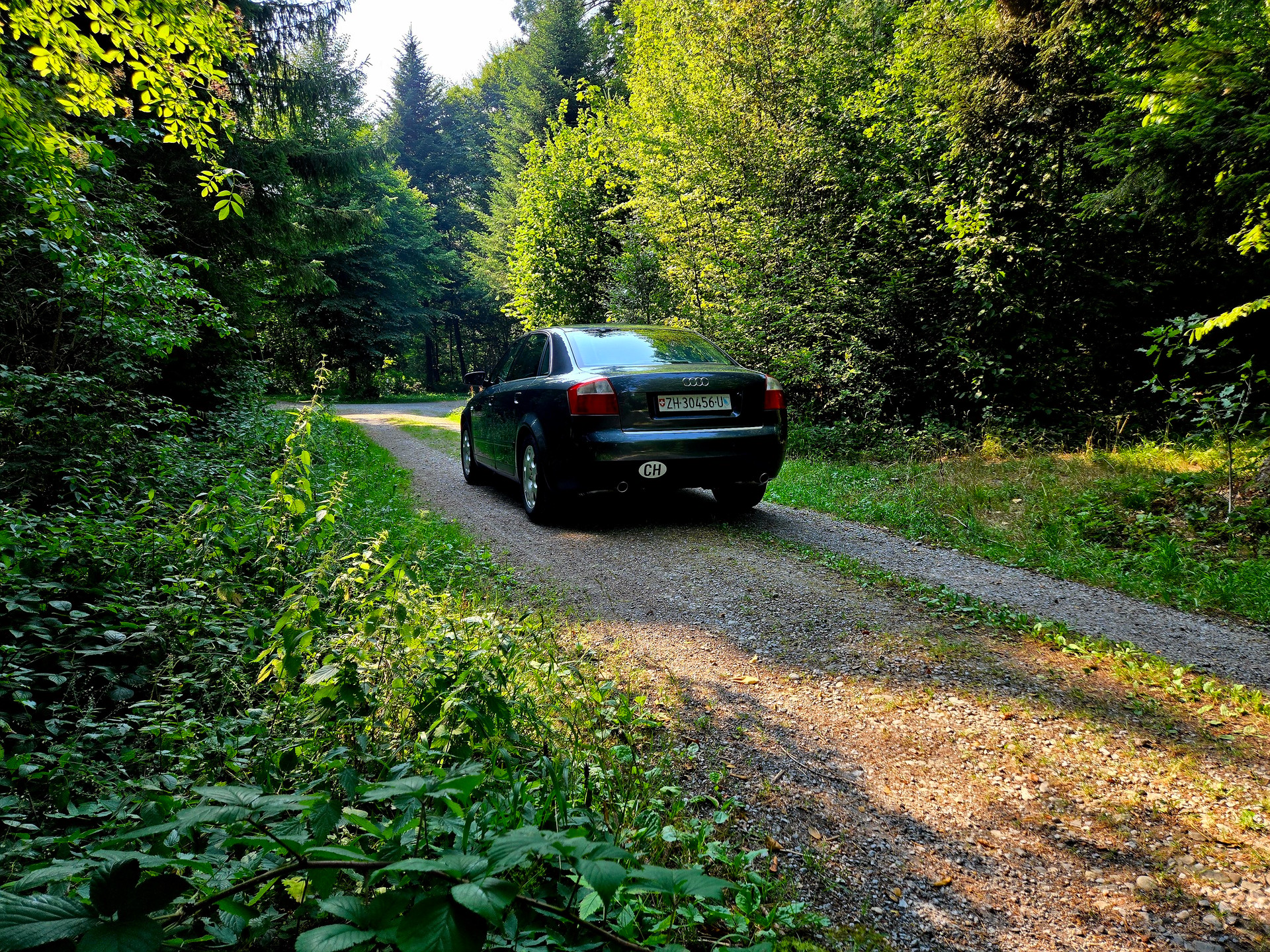 AUDI A4 3.0 V6 quattro-image-7