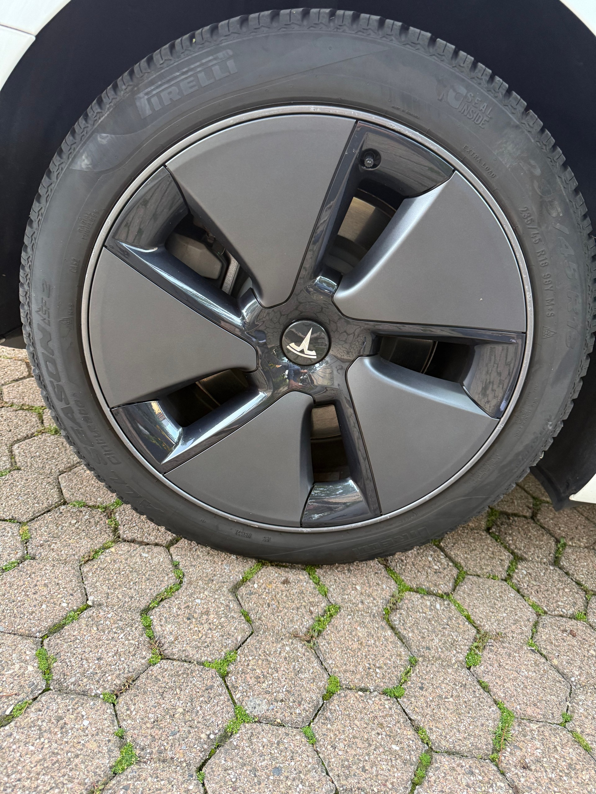 TESLA RWD-image-10