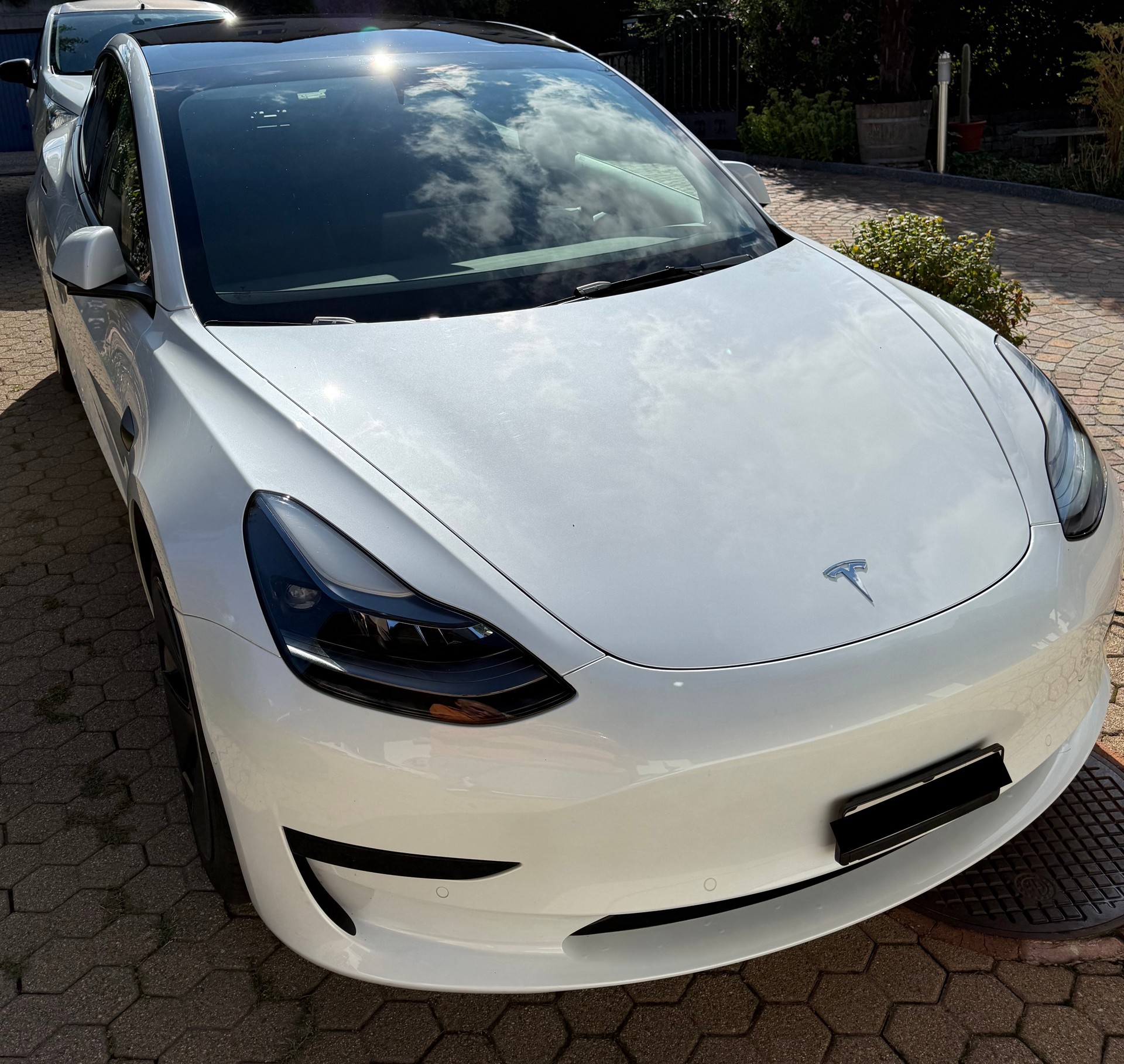 TESLA RWD-image-1