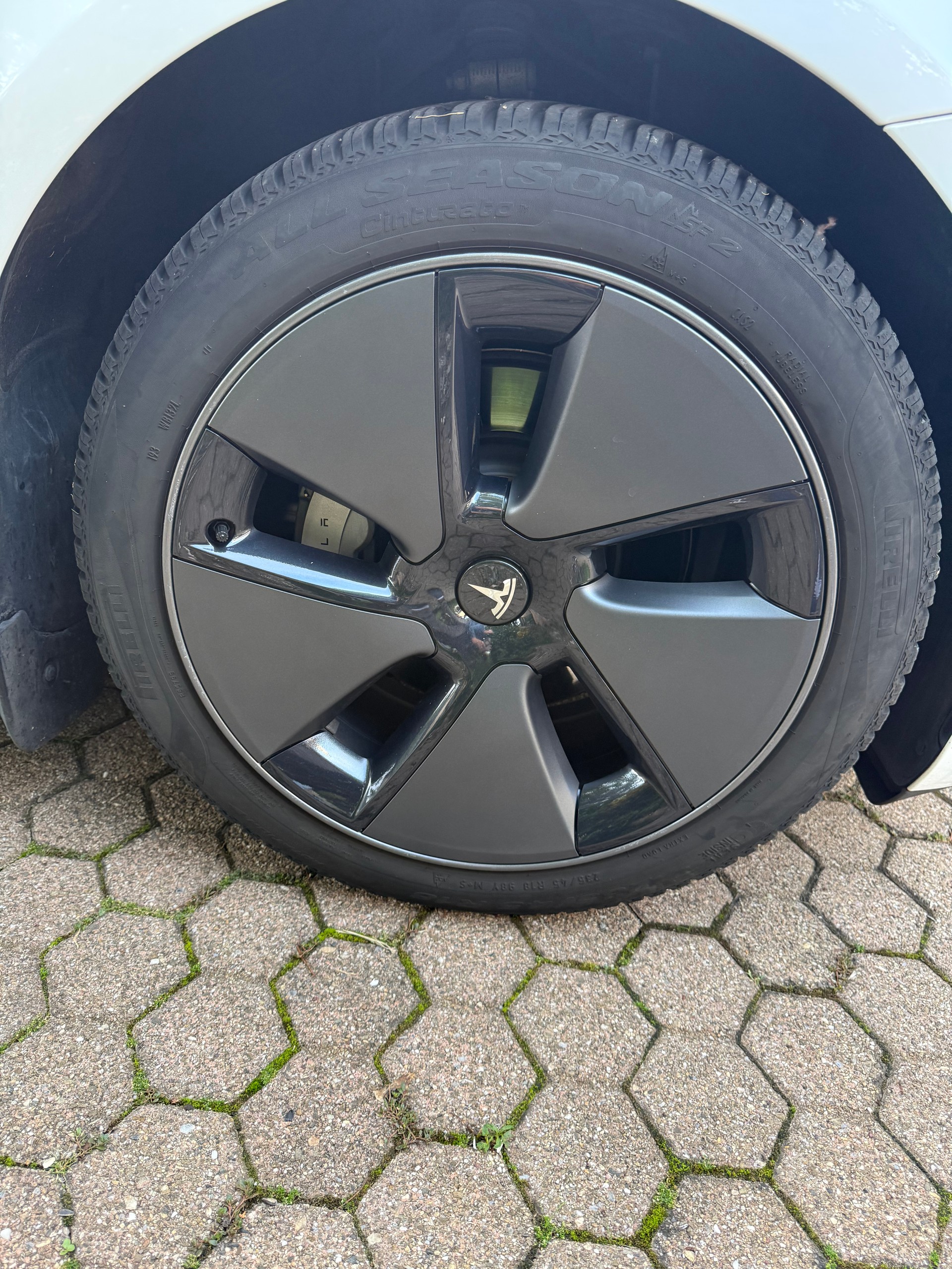 TESLA RWD-image-12