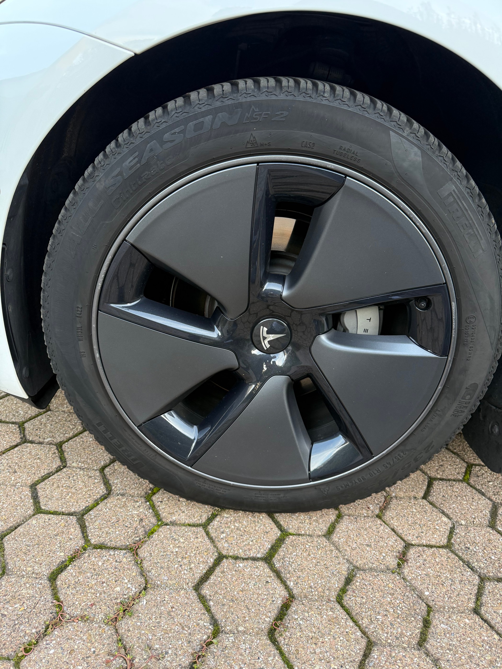 TESLA RWD-image-11