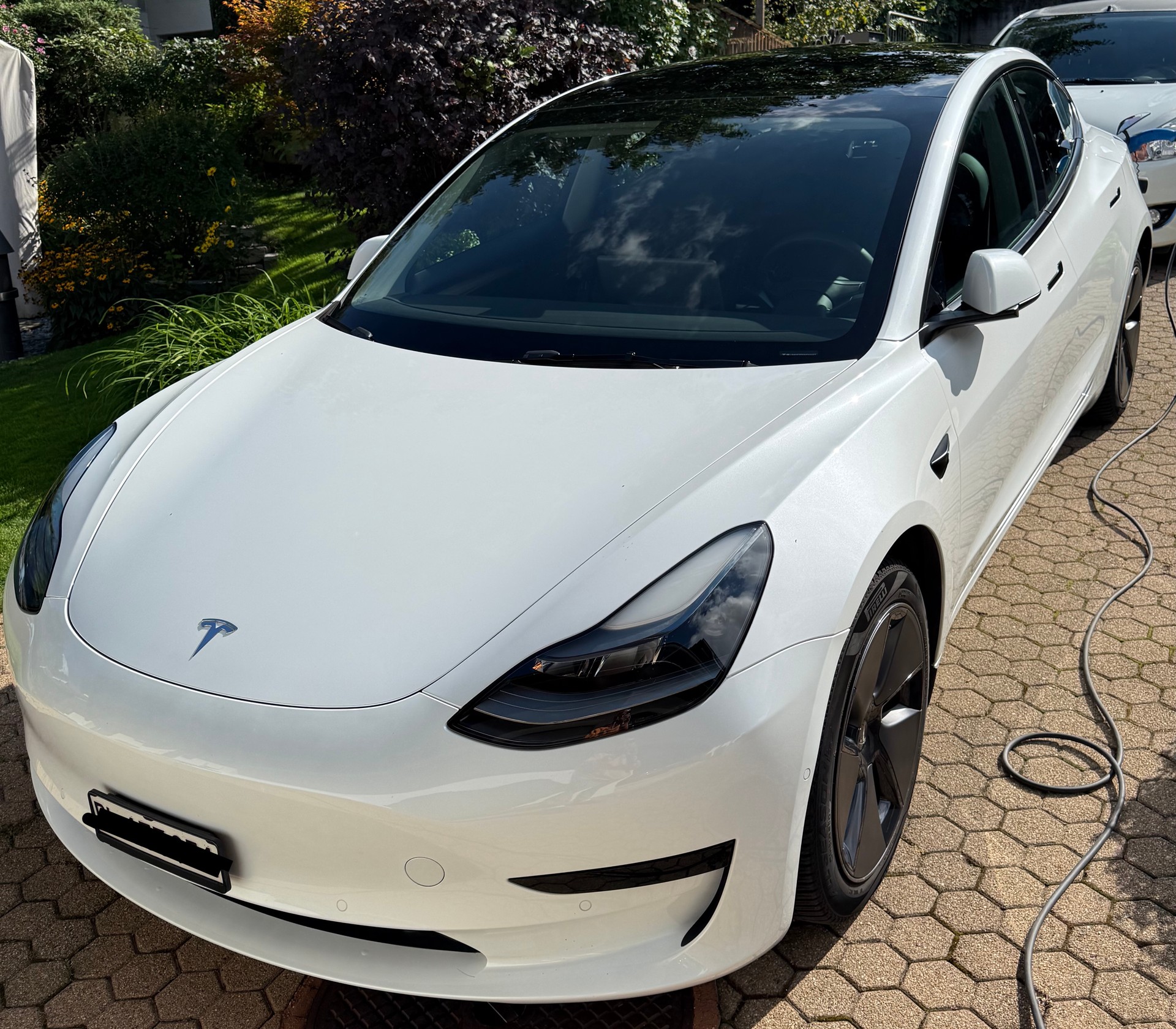 TESLA RWD-image-2