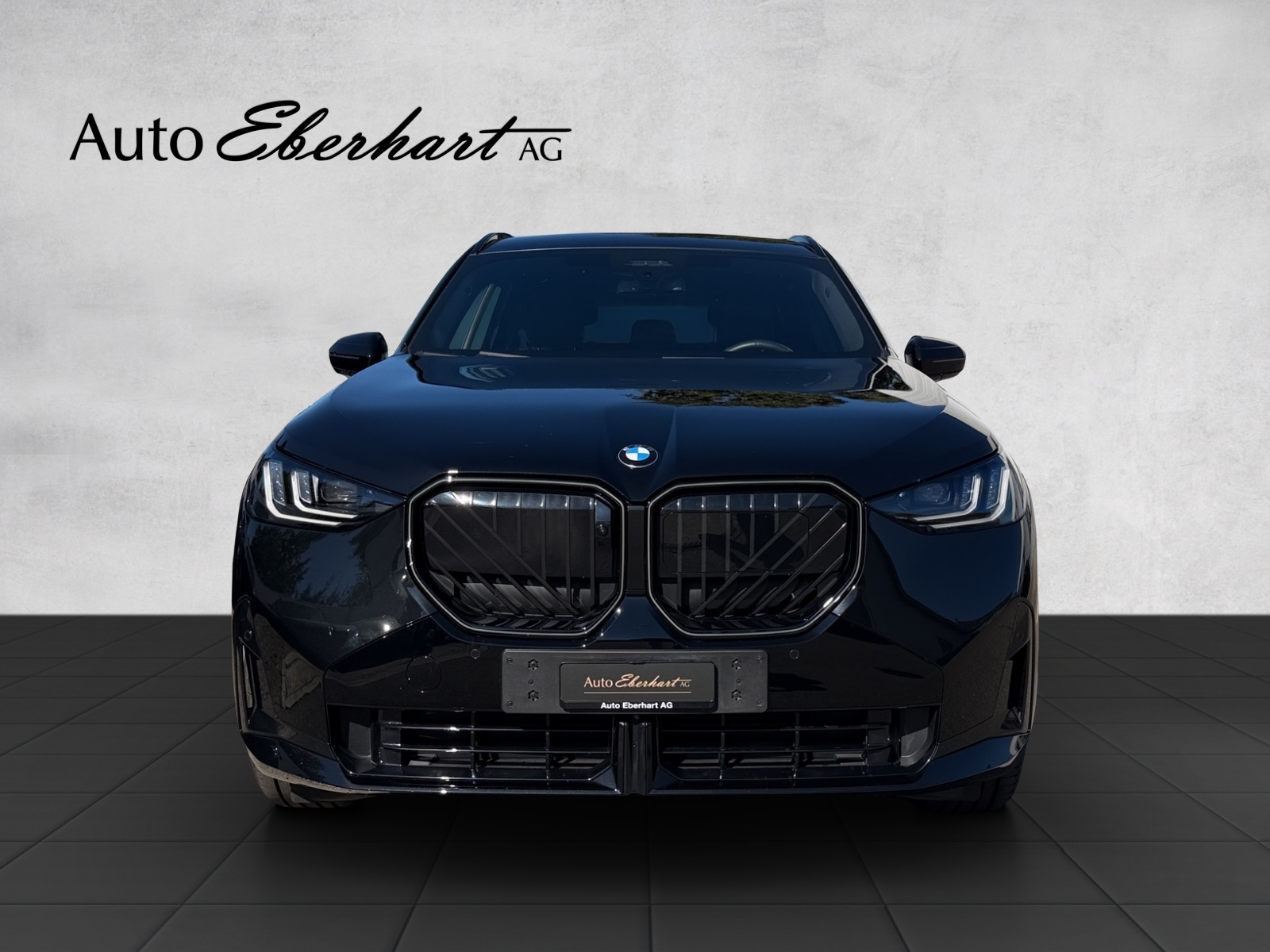 BMW X3 xDrive 48V 40d M Sport Pro-showroom-element-3
