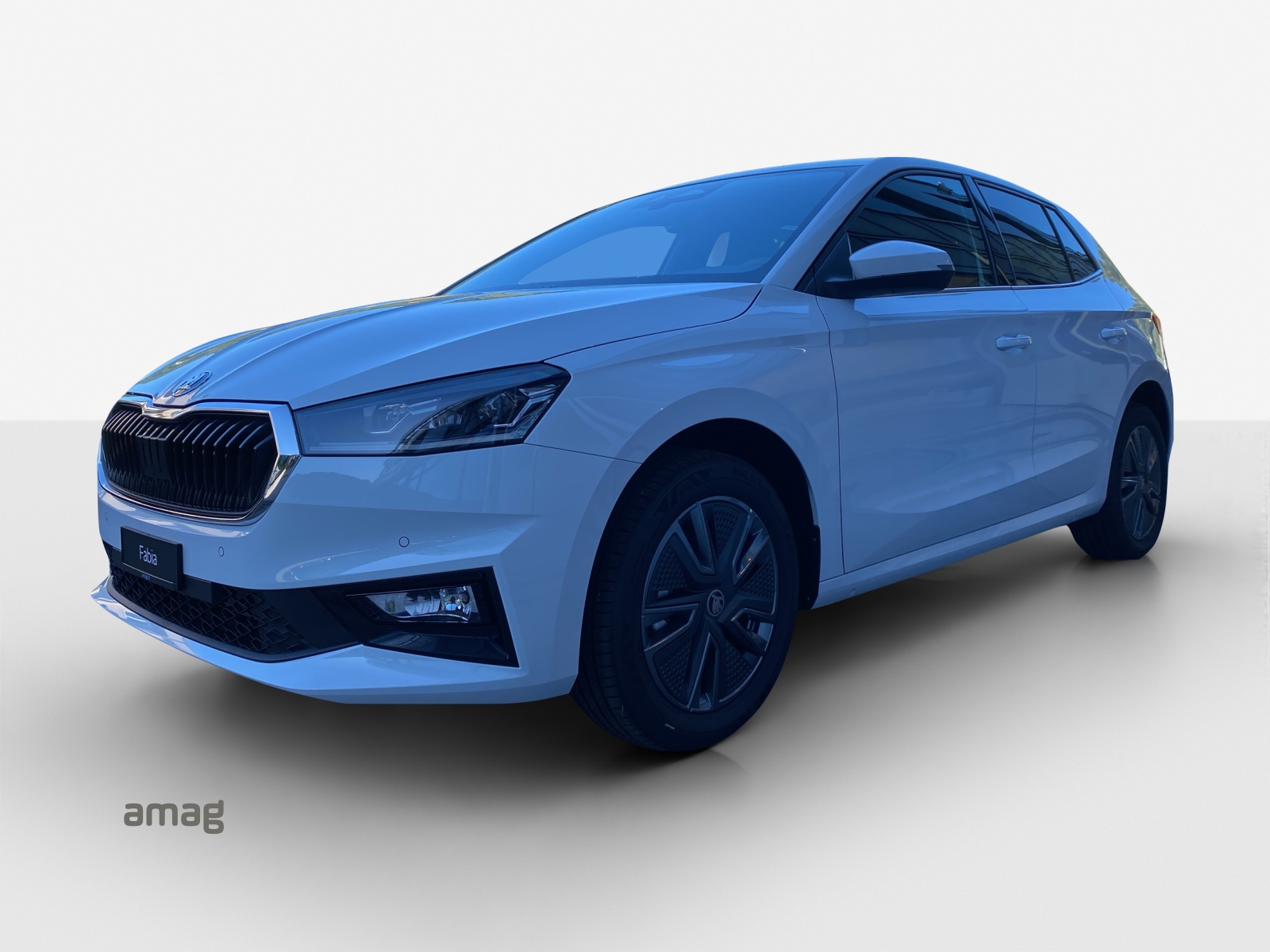 SKODA Fabia 1.0 TSI Dynamic DSG-image-0