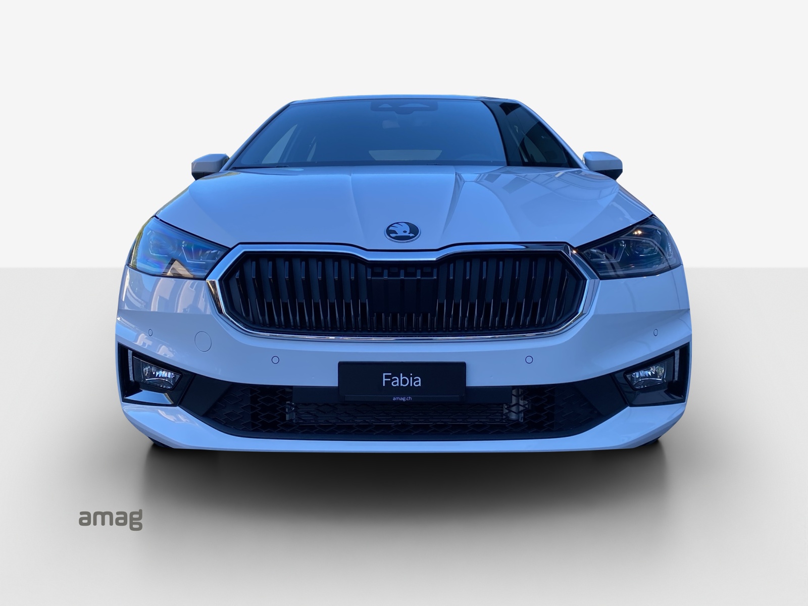 SKODA Fabia 1.0 TSI Dynamic DSG-image-6