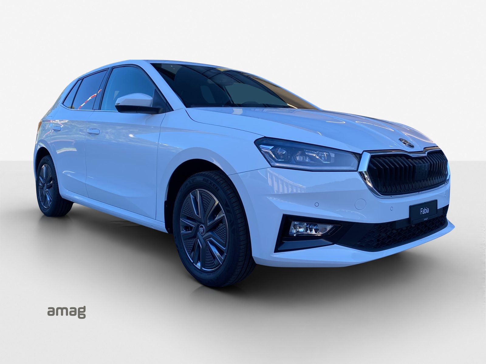 SKODA Fabia 1.0 TSI Dynamic DSG-image-5