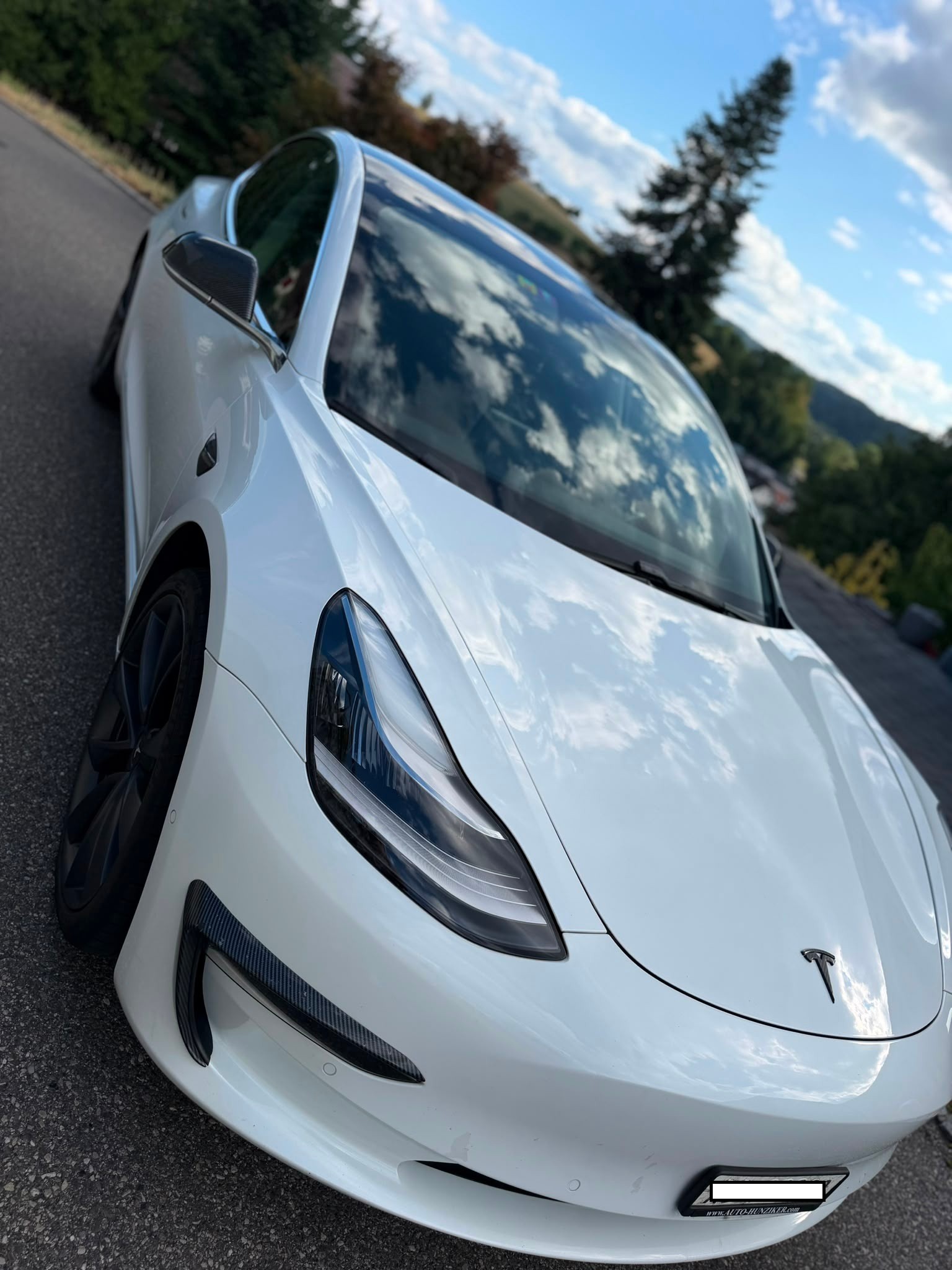 TESLA Performance D-image-1