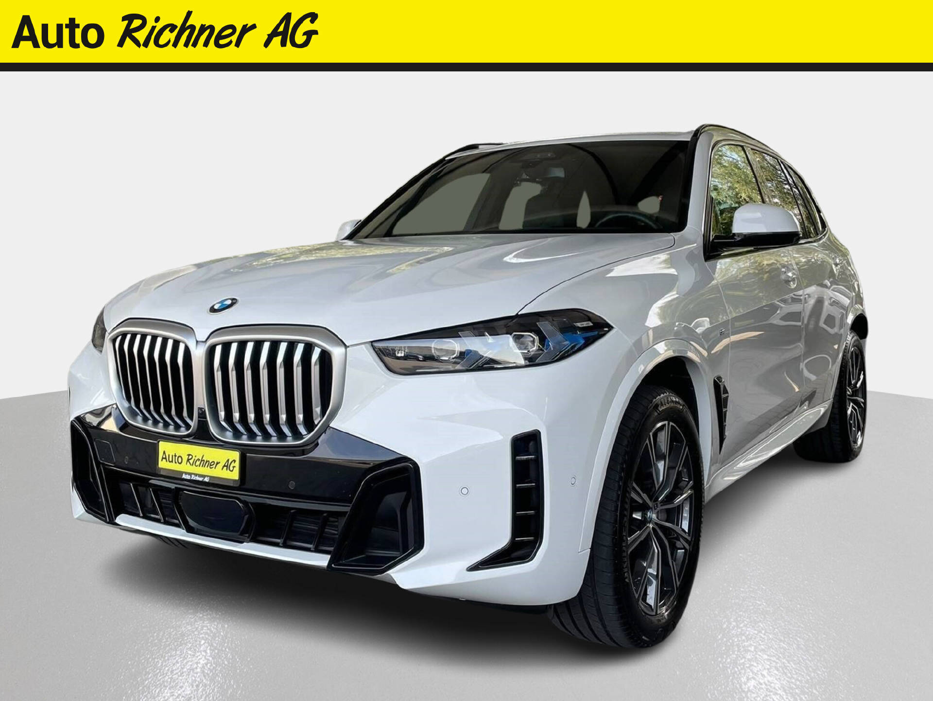 BMW X5 30d xDrive SAG-image-1