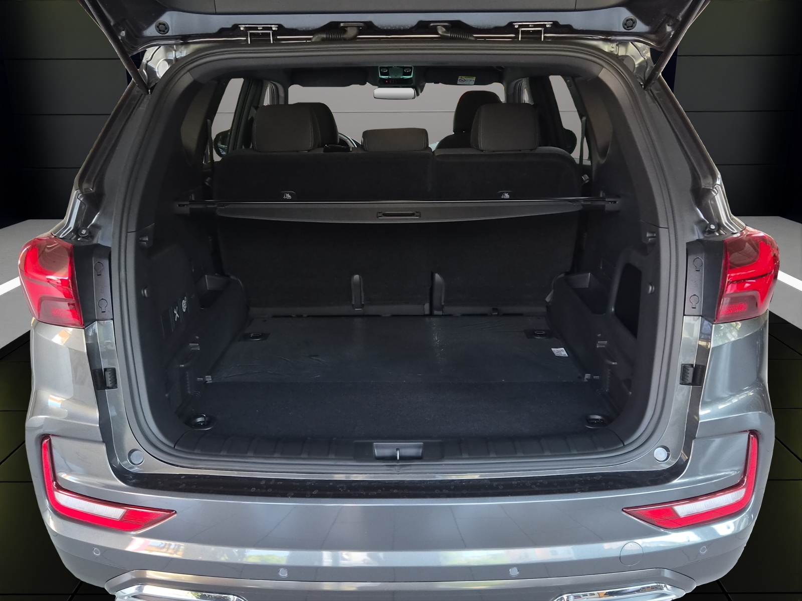 KGM-SsangYong Rexton 2.2 CRDi Platinum 4WD AT-image-11