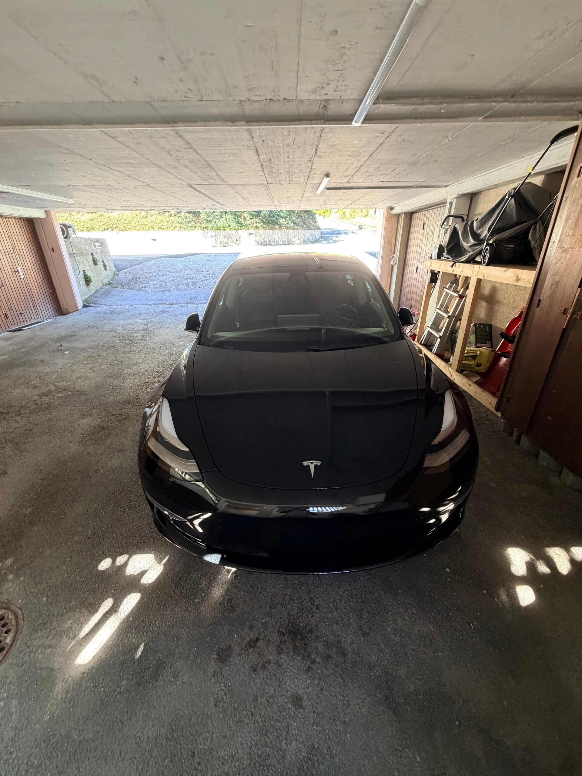 TESLA Long Range D-image-0