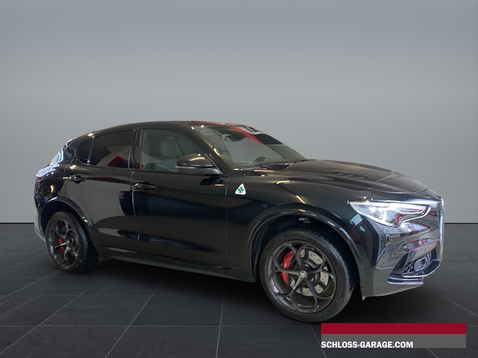 ALFA ROMEO STELVIO 2.9 V6 510 AT Q4 Qu-image-8