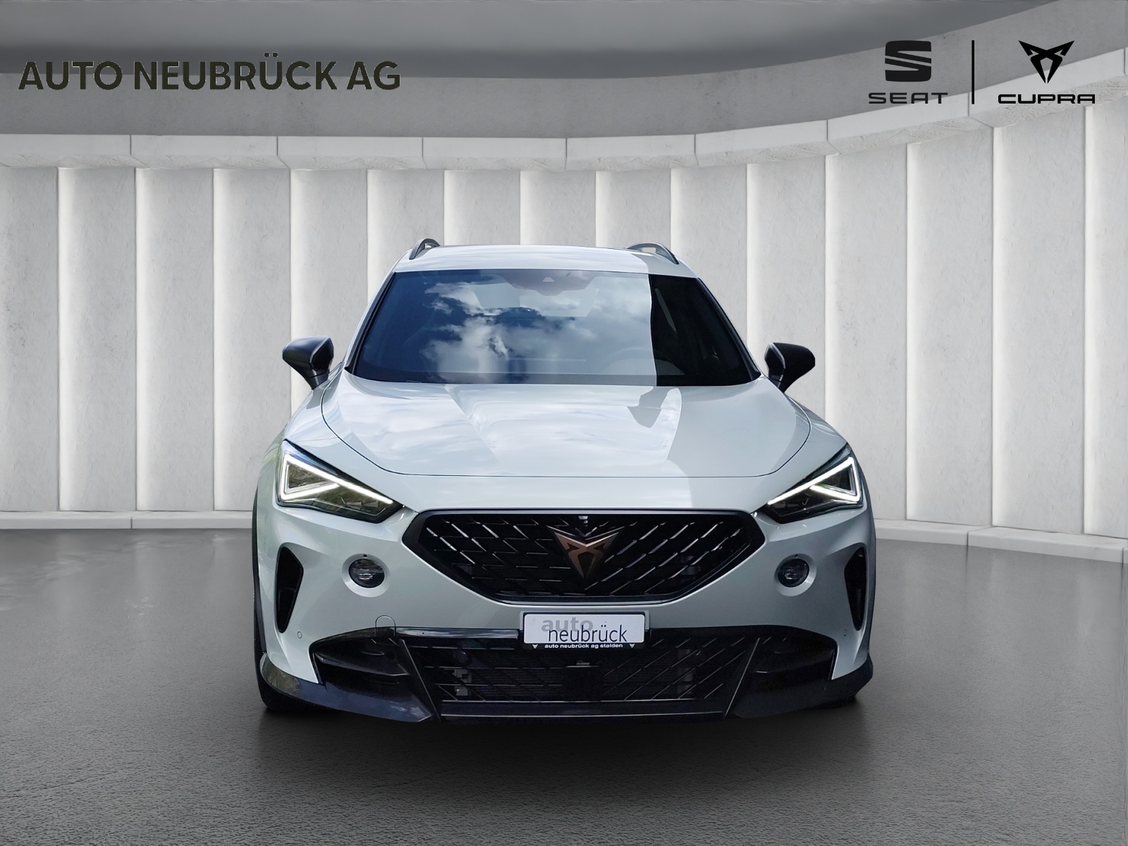 CUPRA Formentor 2.5TSI VZ5 Taiga Grey 4Drive DSG-image-5