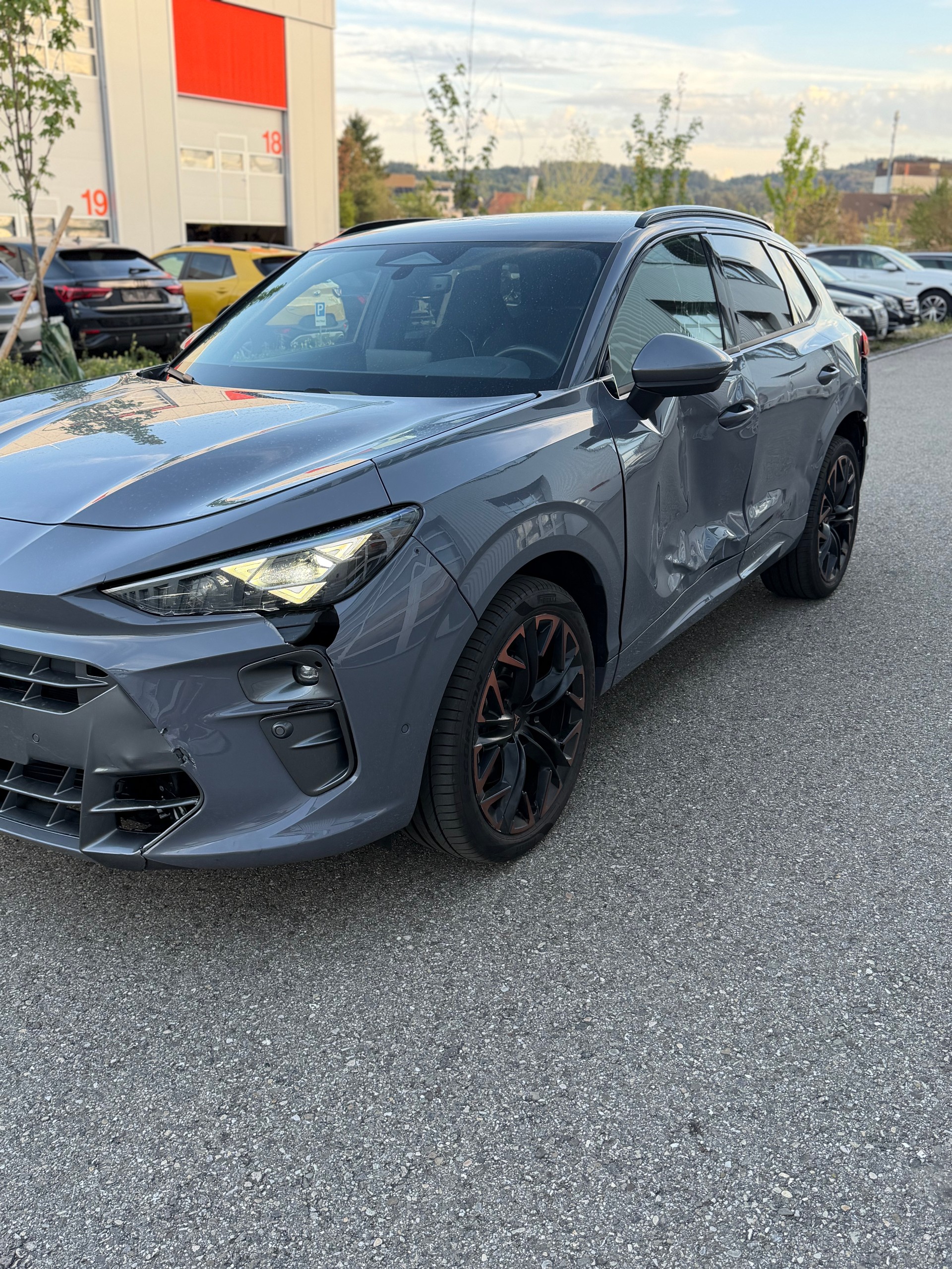 CUPRA Terramar 2.0 TSI DSG 4Drive-image-4