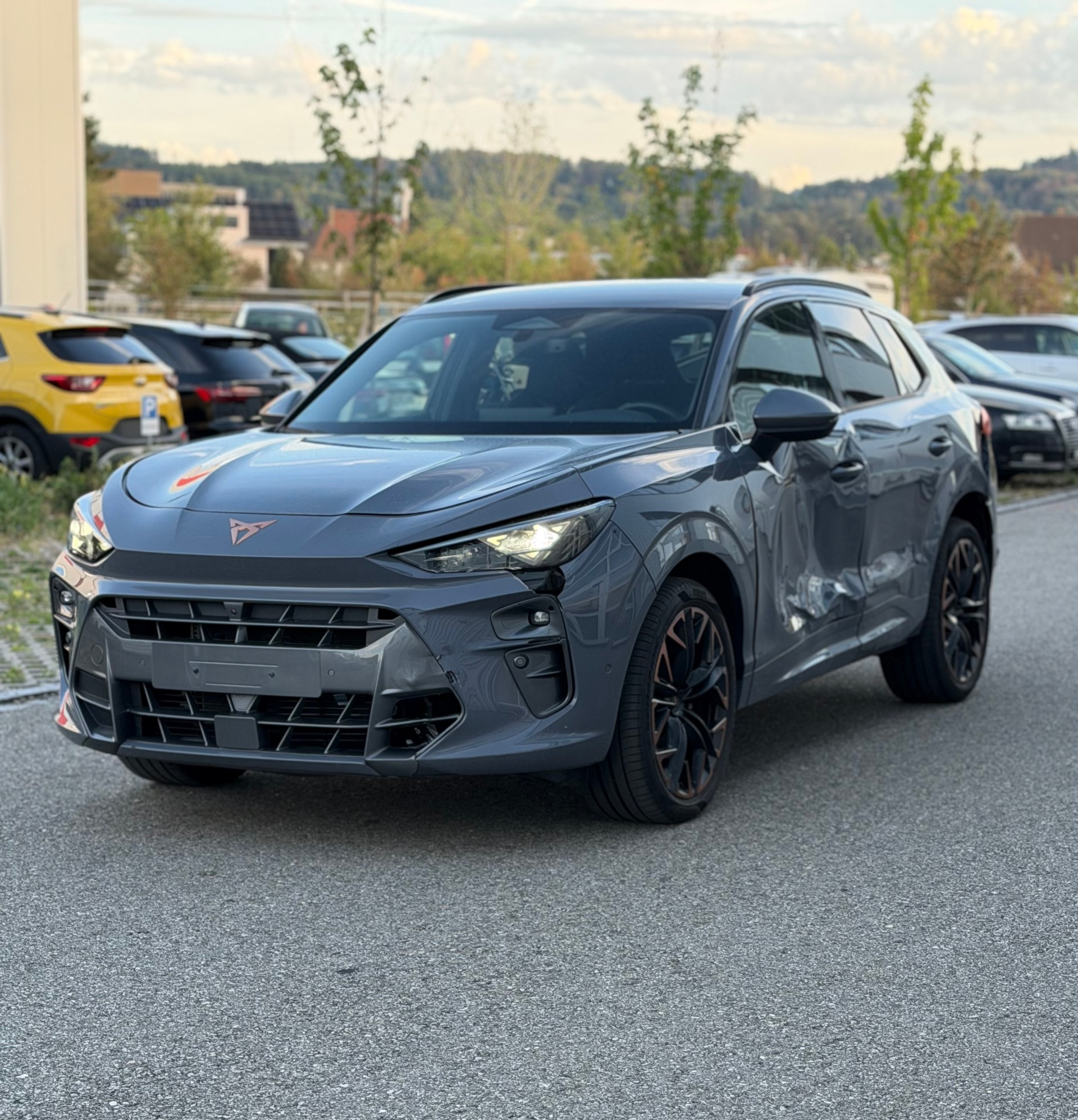 CUPRA Terramar 2.0 TSI DSG 4Drive-image-0
