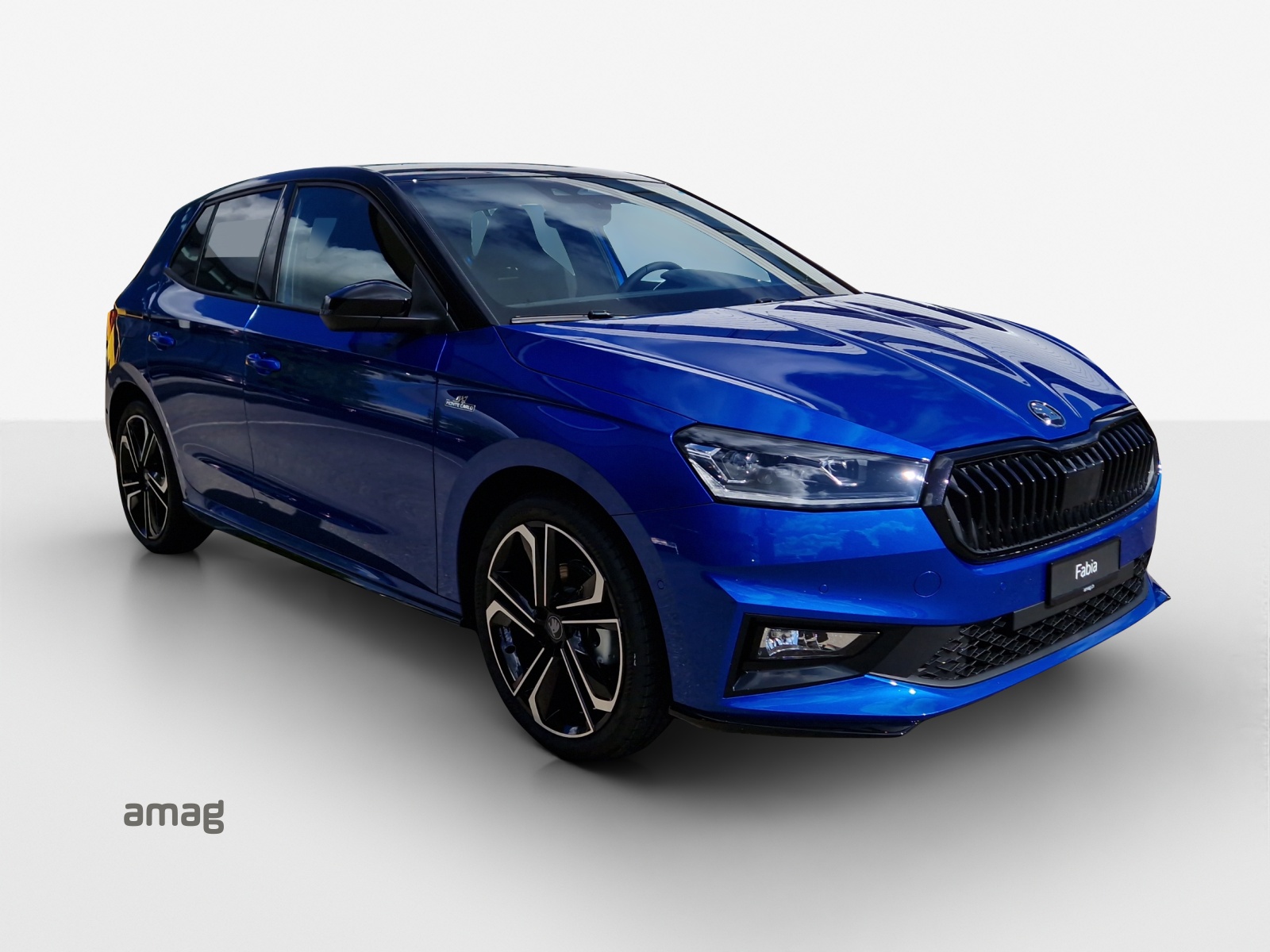 SKODA Fabia 1.0 TSI Monte Carlo DSG-image-5