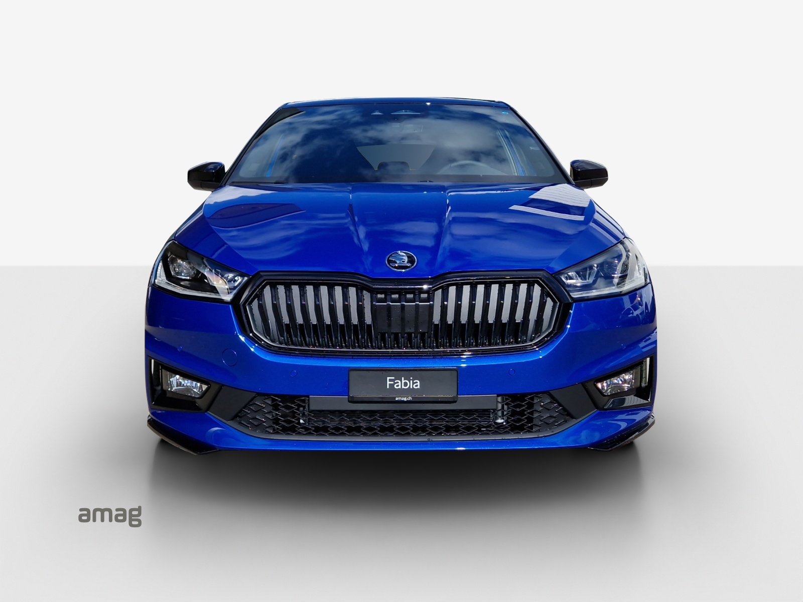 SKODA Fabia 1.0 TSI Monte Carlo DSG-image-6