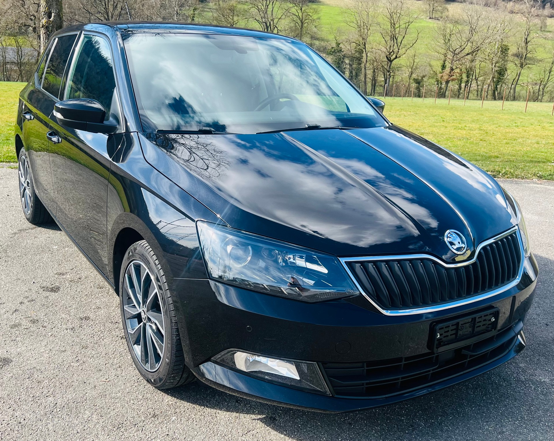 SKODA Fabia 1.2 TSI Swiss Edition DSG-image-0