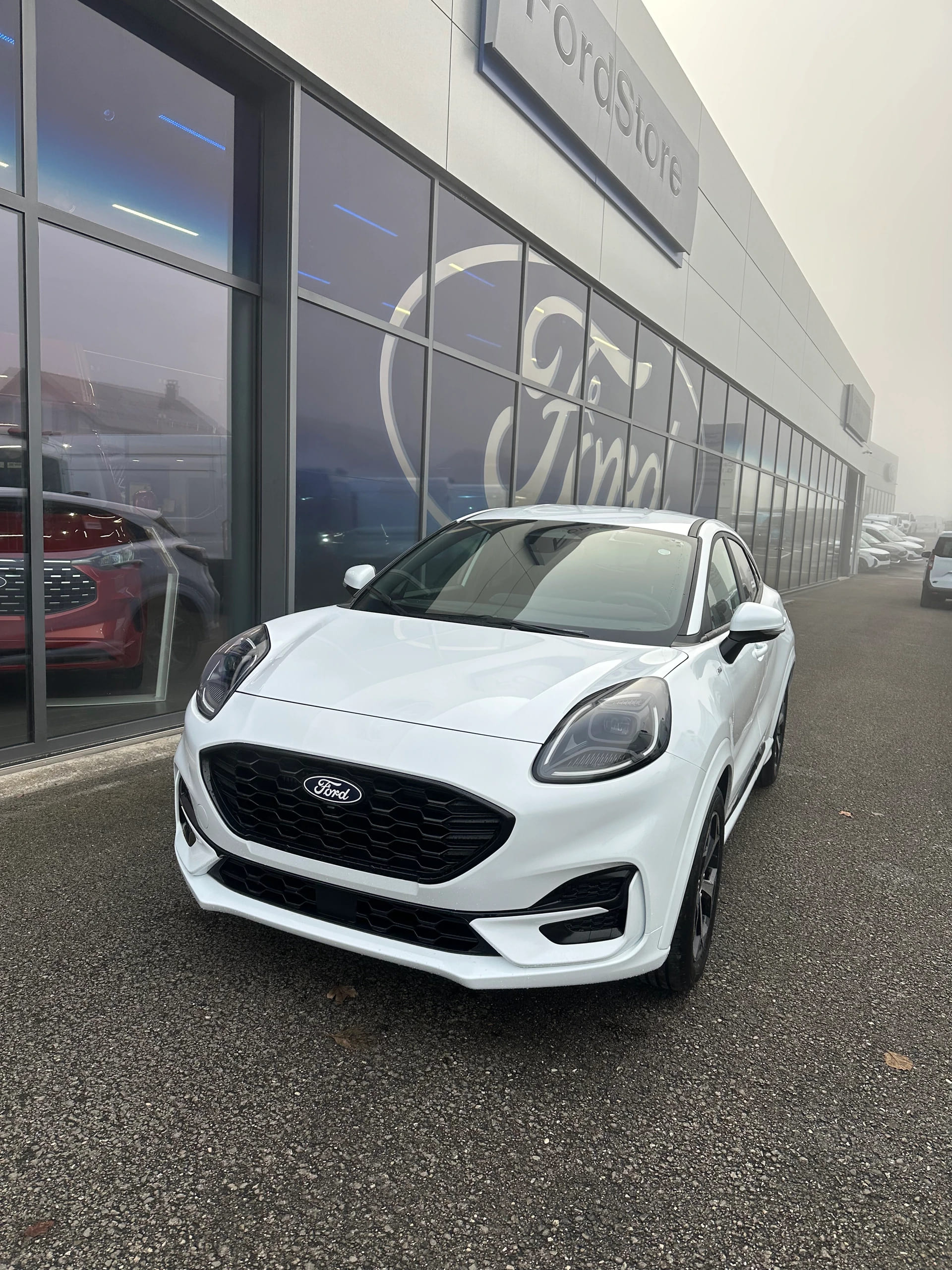 FORD Puma 1.0 EcoB Hybrid 125 ST-Li ST-Line/125CV/Man.