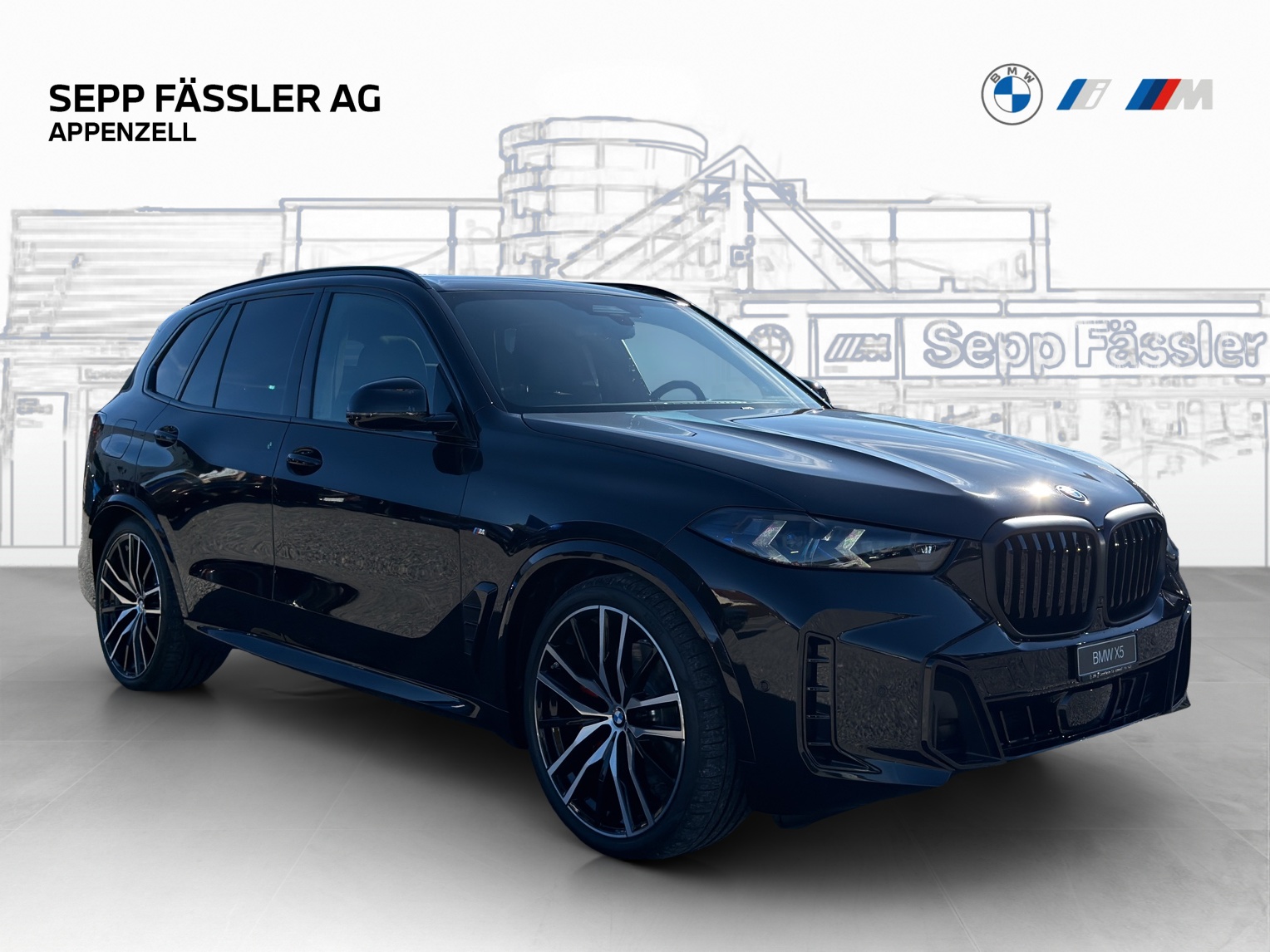 BMW X5 xDrive 48V 40d M Sport Pro Steptronic-image-6